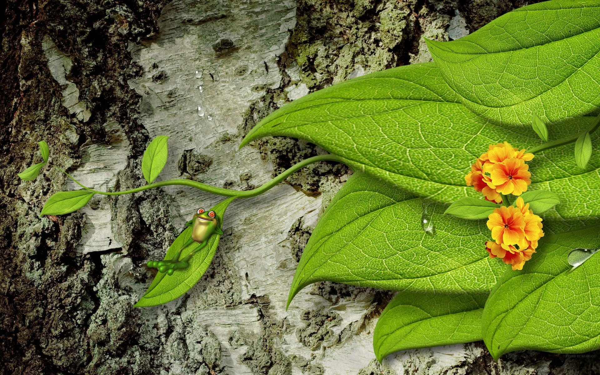 Обои цветы, дерево, листья, капли, лягушка, кора, 3d-графика, flowers, tree, leaves, drops, frog, bark, 3d graphics разрешение 2560x1600 Загрузить