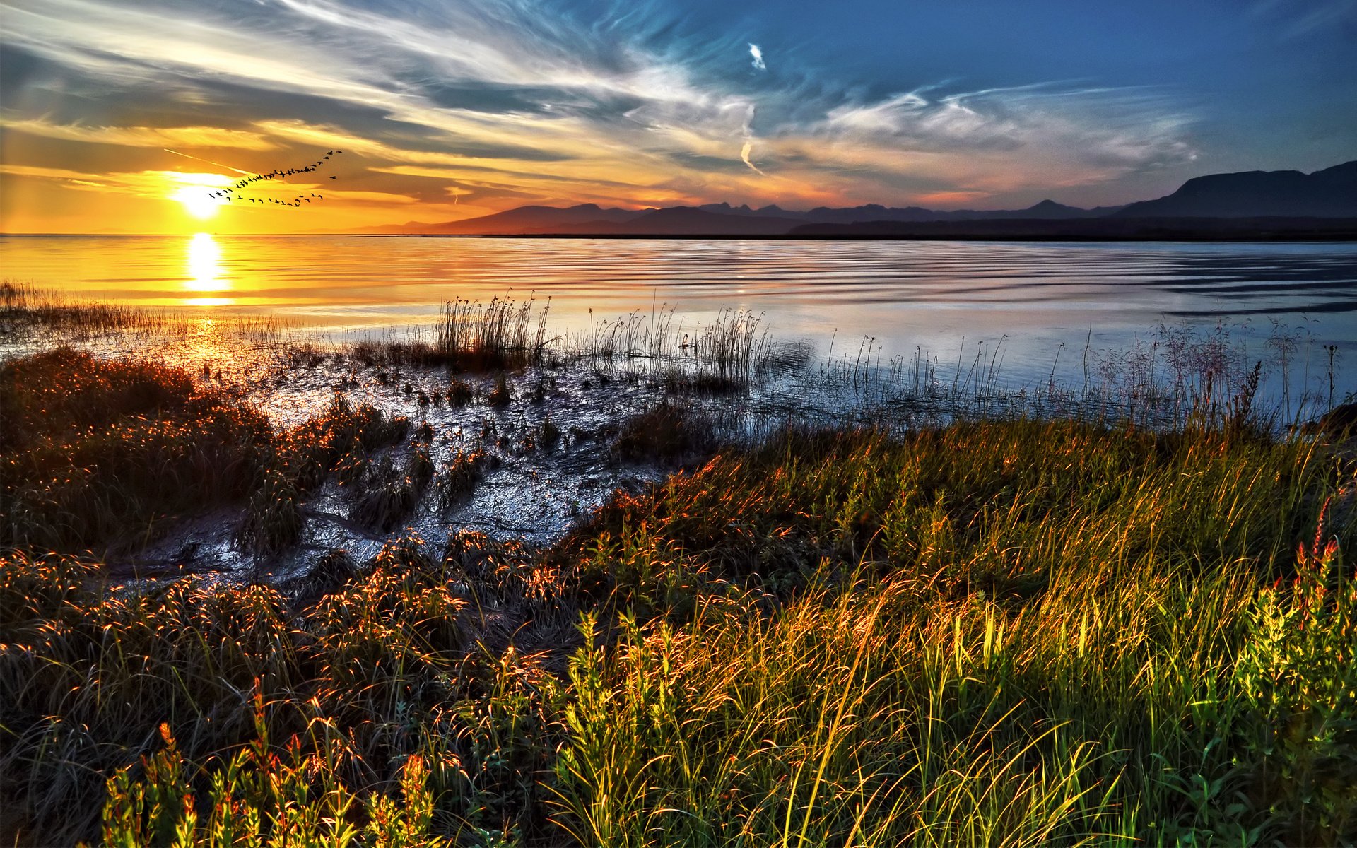 Обои трава, облака, озеро, солнце, закат, горизонт, птицы, стая, grass, clouds, lake, the sun, sunset, horizon, birds, pack разрешение 2560x1600 Загрузить