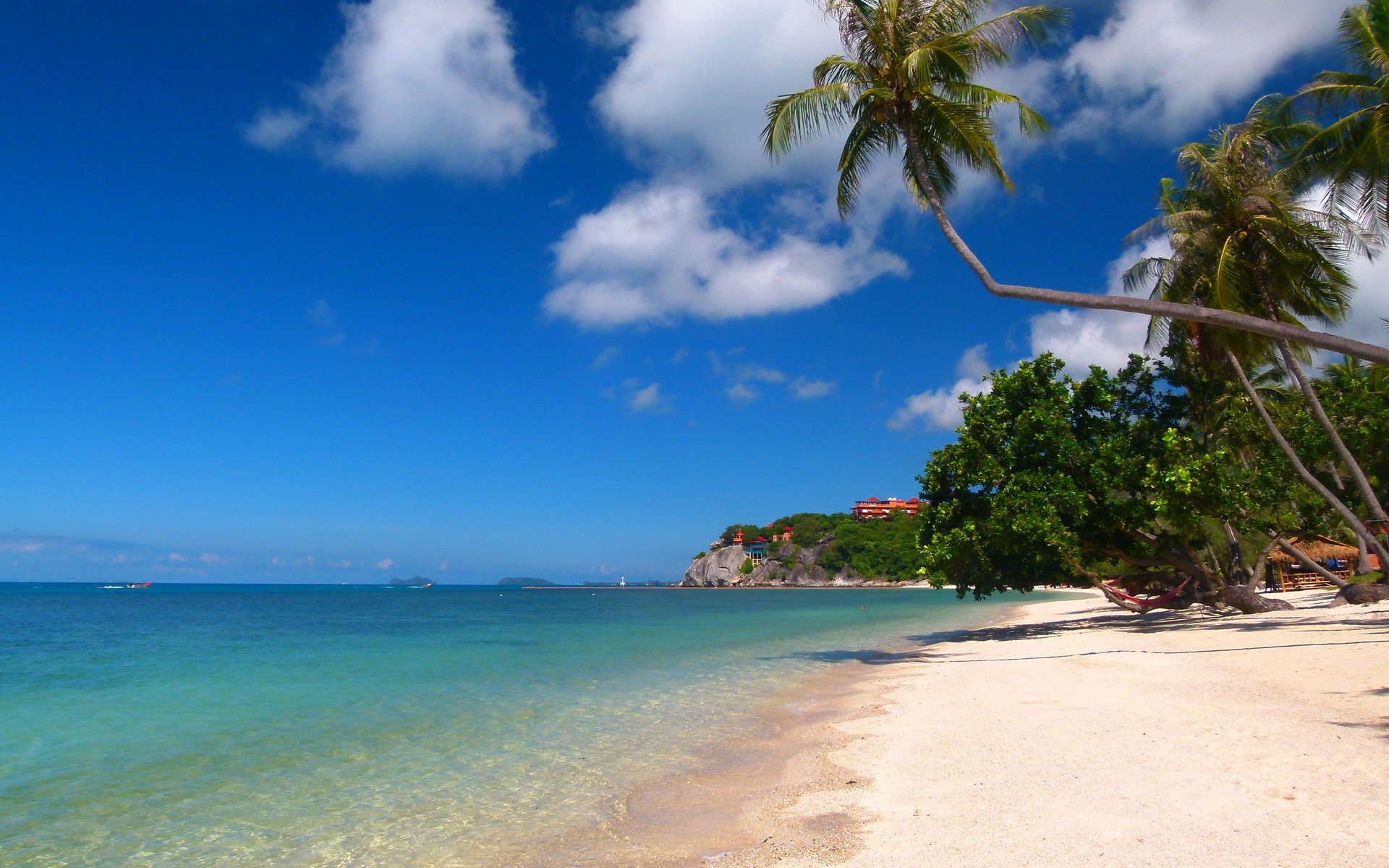 Обои пляж, пальмы, тропики, beach, palm trees, tropics разрешение 4320x3240 Загрузить