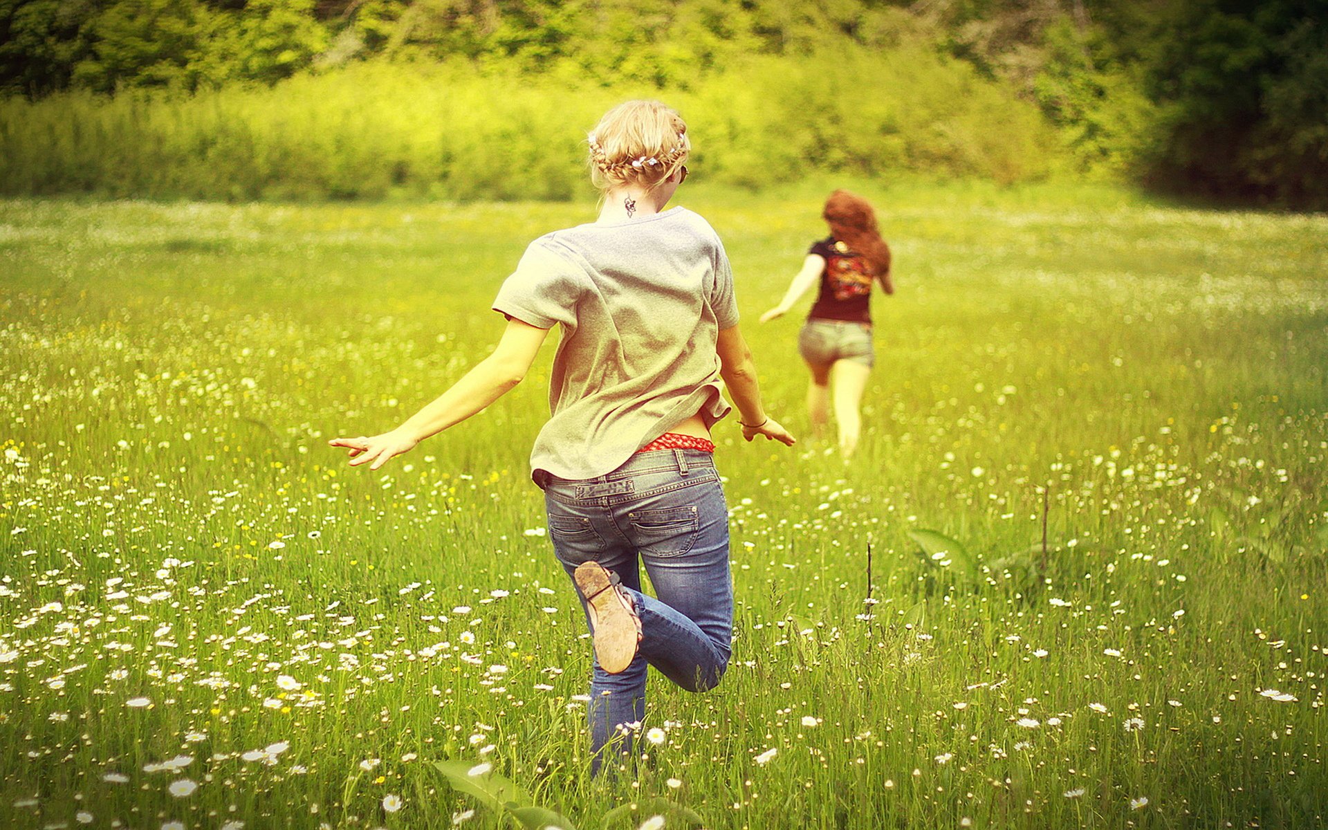 Обои поле, лето, радость, девушки, ромашки, позитив, бегут, field, summer, joy, girls, chamomile, positive, run разрешение 2560x1600 Загрузить