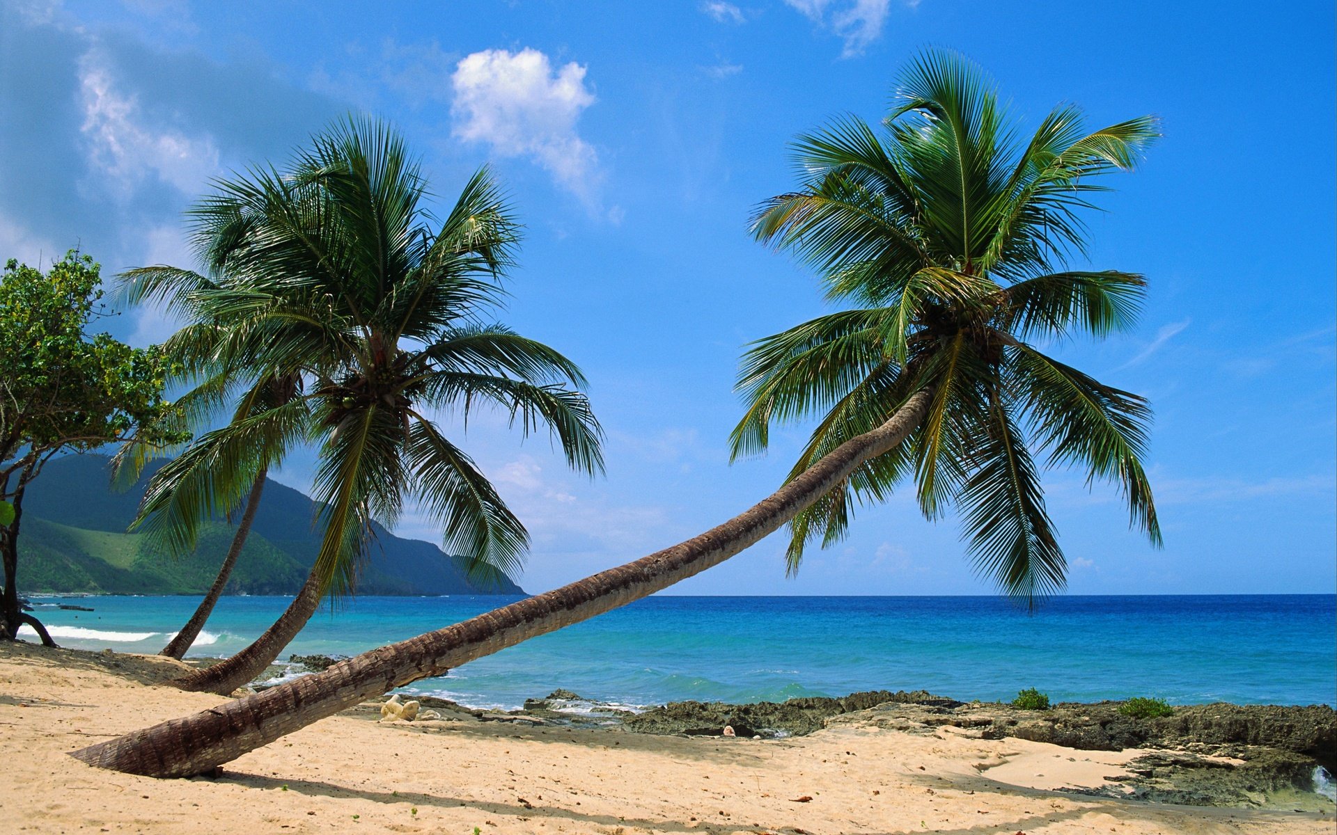Обои пляж, тропики, beach, tropics разрешение 3953x2564 Загрузить