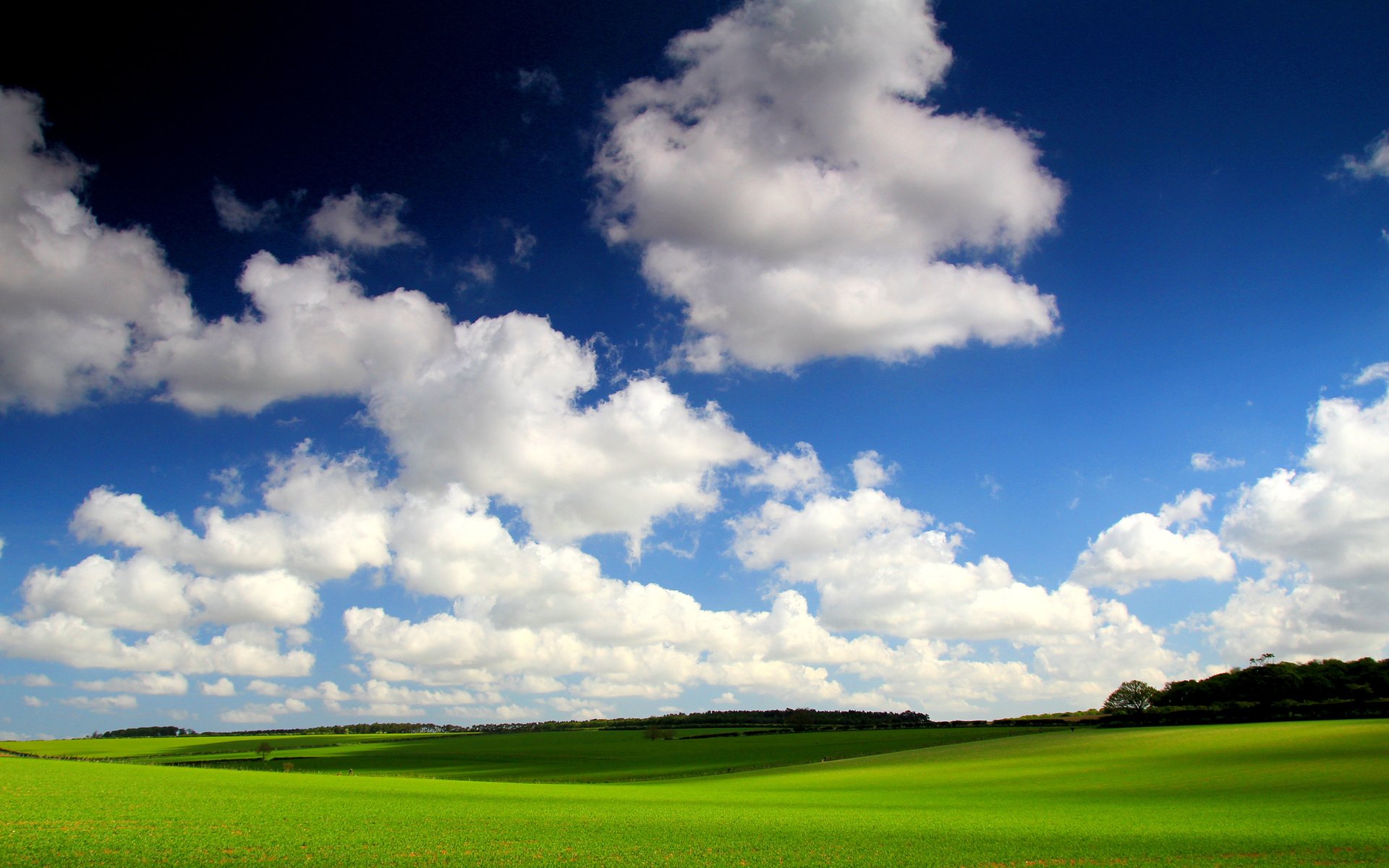 Обои небо, трава, облака, поле, горизонт, the sky, grass, clouds, field, horizon разрешение 5068x3379 Загрузить