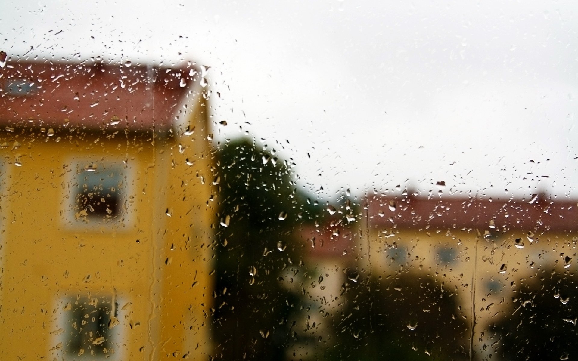 Обои вода, дождь, окно, стекло, voda, dozhd, okno, steklo, капли дождя, water, rain, window, glass, raindrops разрешение 2560x1600 Загрузить