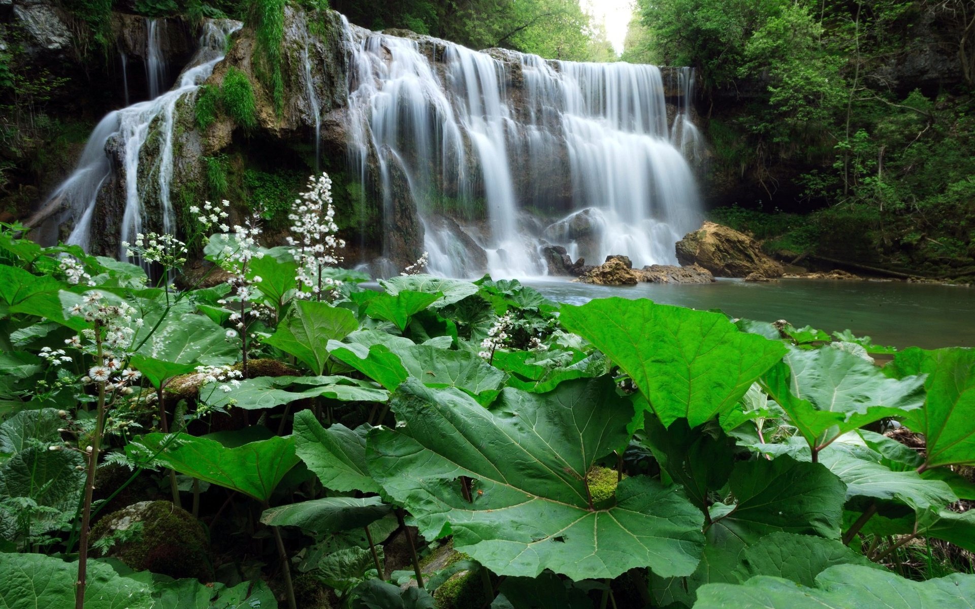 Обои деревья, растения, лес, листья, водопад, речка, trees, plants, forest, leaves, waterfall, river разрешение 2048x1348 Загрузить