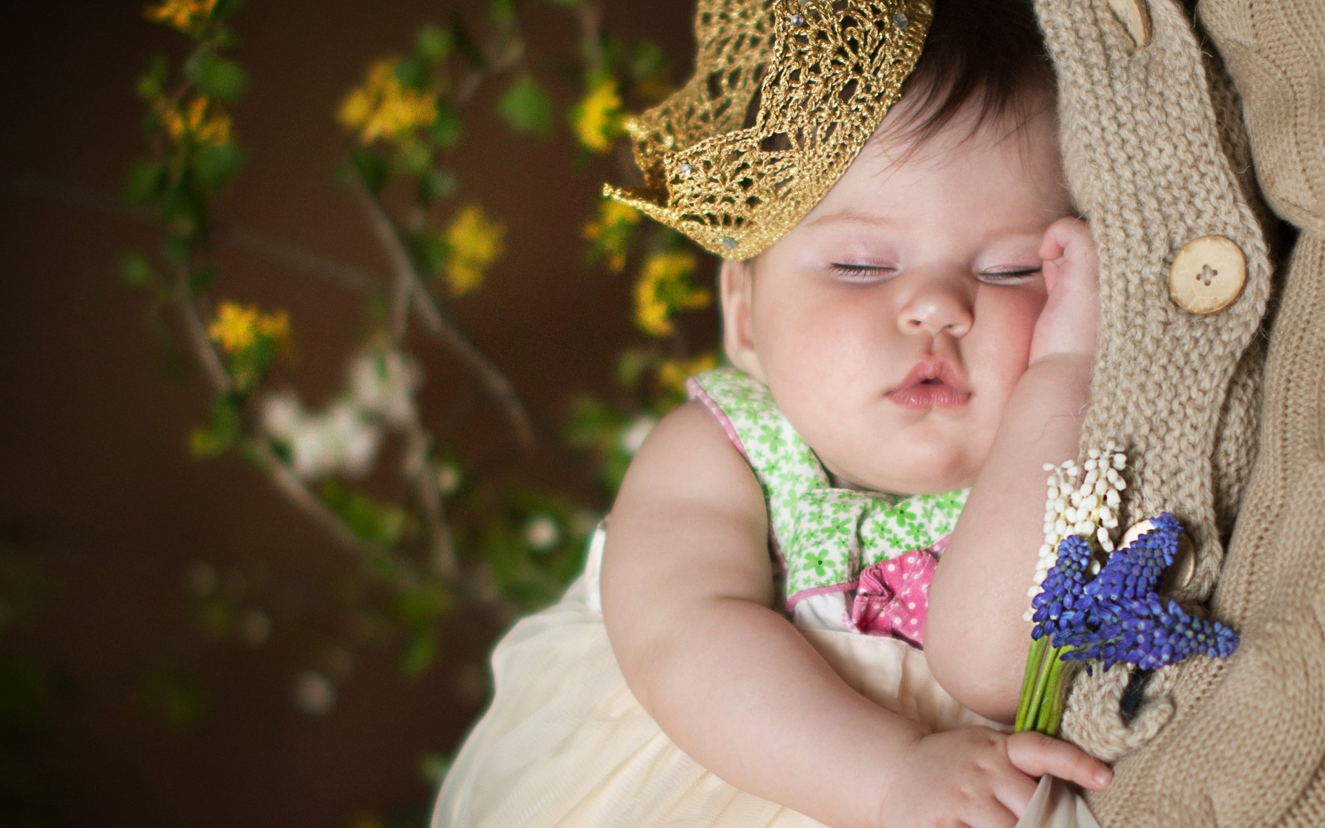 Обои цветы, сон, девочка, ребенок, младенец, корона, flowers, sleep, girl, child, baby, crown разрешение 2250x1612 Загрузить