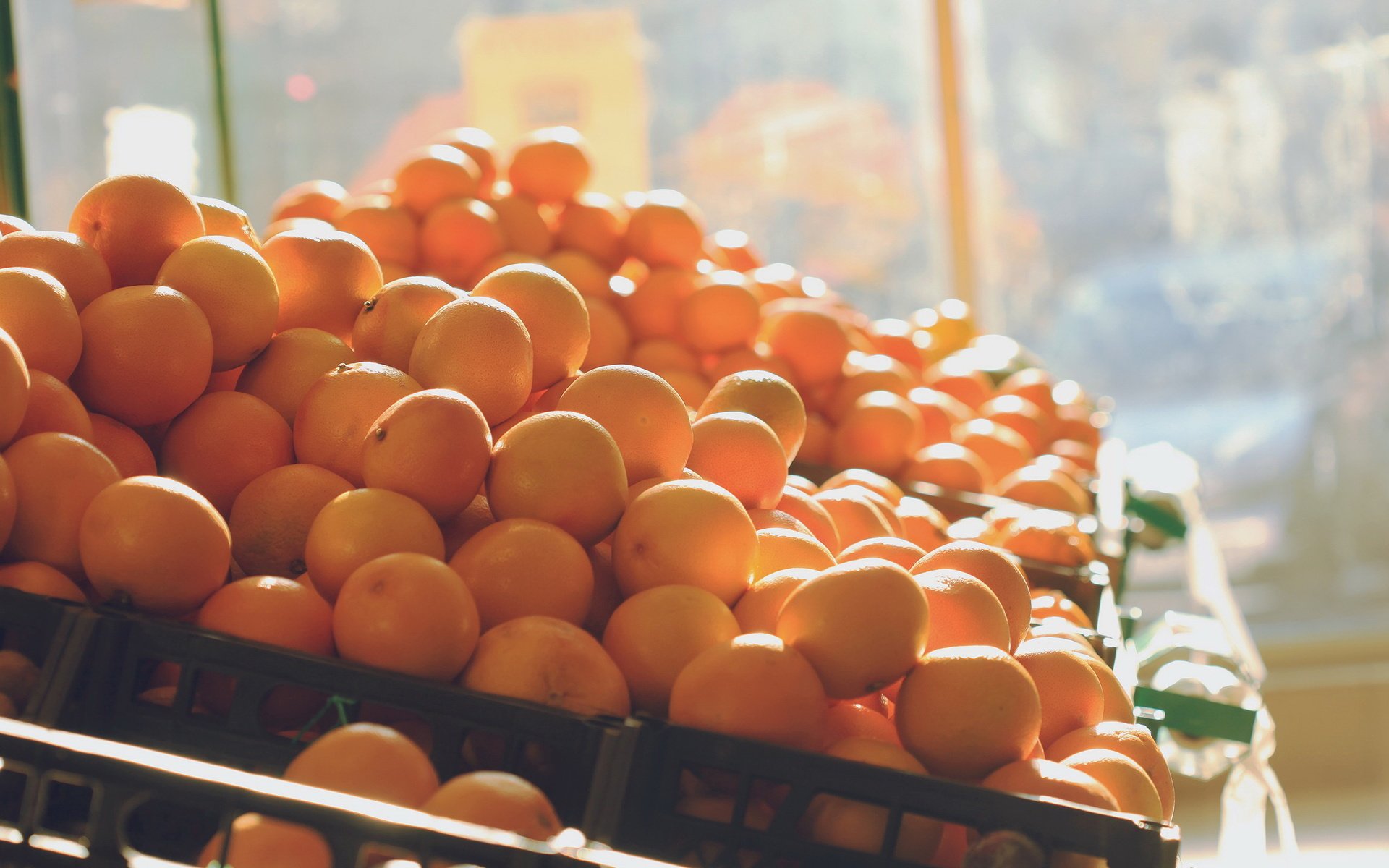Обои фрукты, много, оранжевые, мандарины, цитрусы, fruit, a lot, orange, tangerines, citrus разрешение 2560x1440 Загрузить