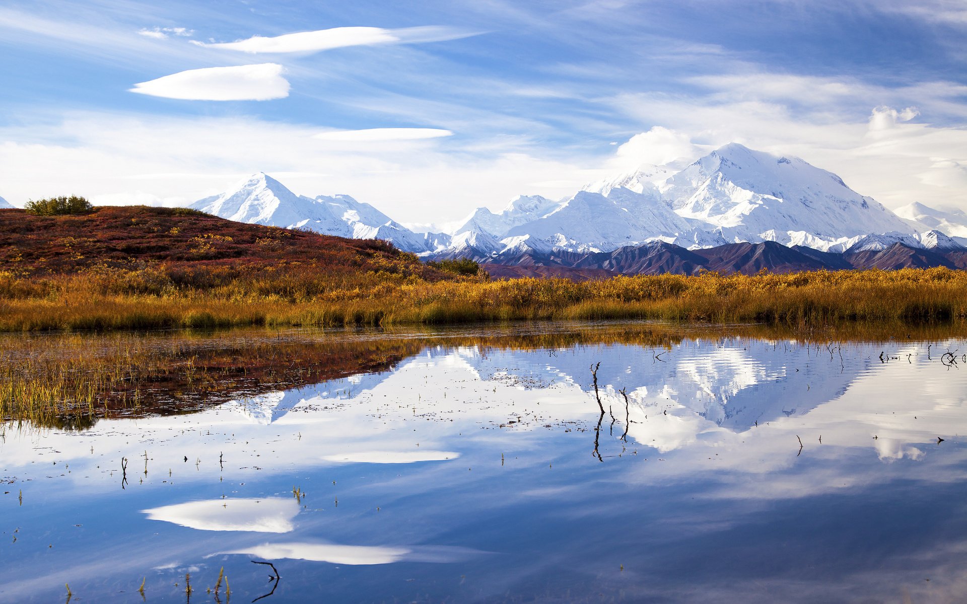 Tundra Pond, Mount McKinley, Denali National Park, Alaska скачать