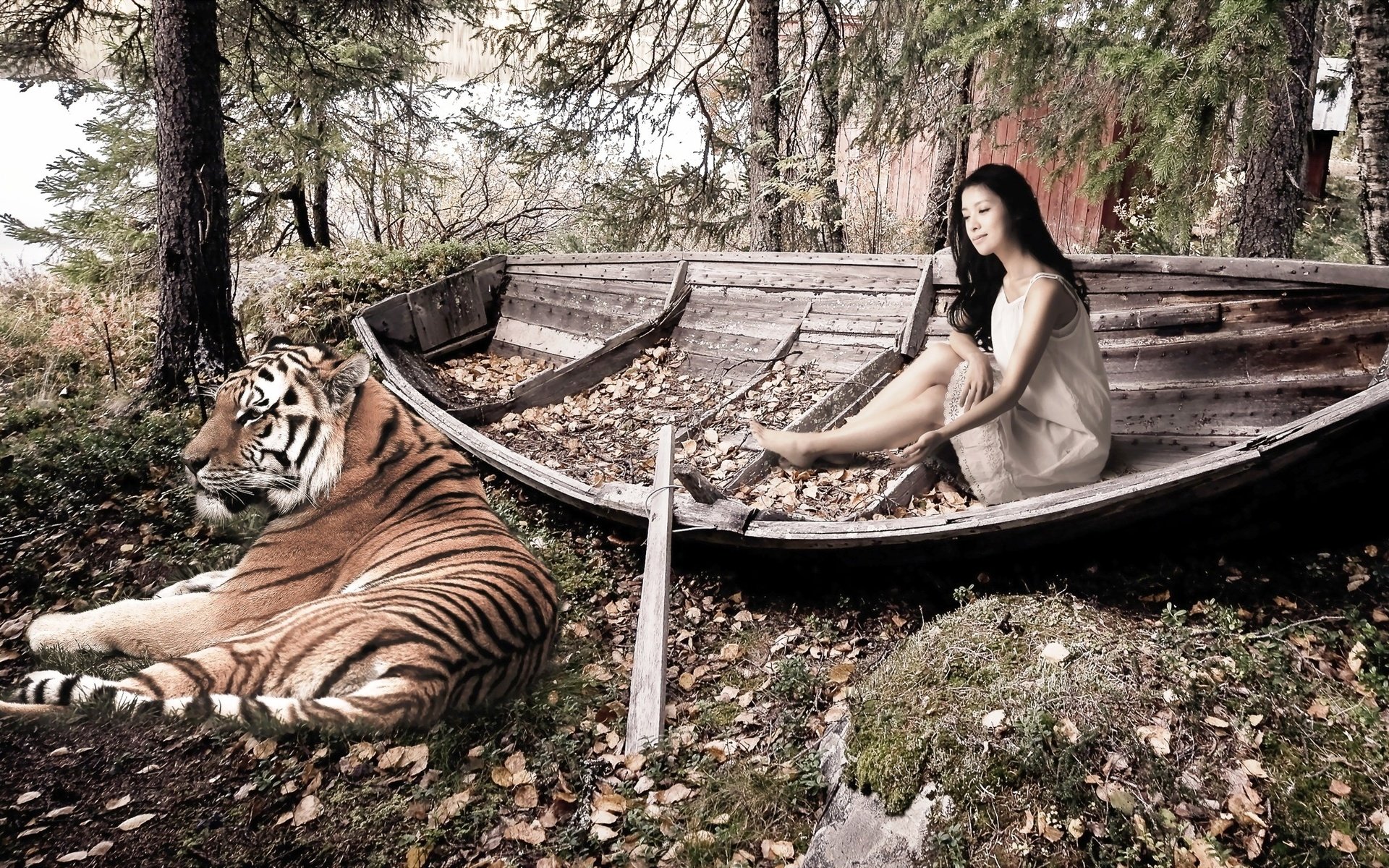 Обои тигр, деревья, девушка, лодка, опавшие листья, tiger, trees, girl, boat, fallen leaves разрешение 2560x1440 Загрузить