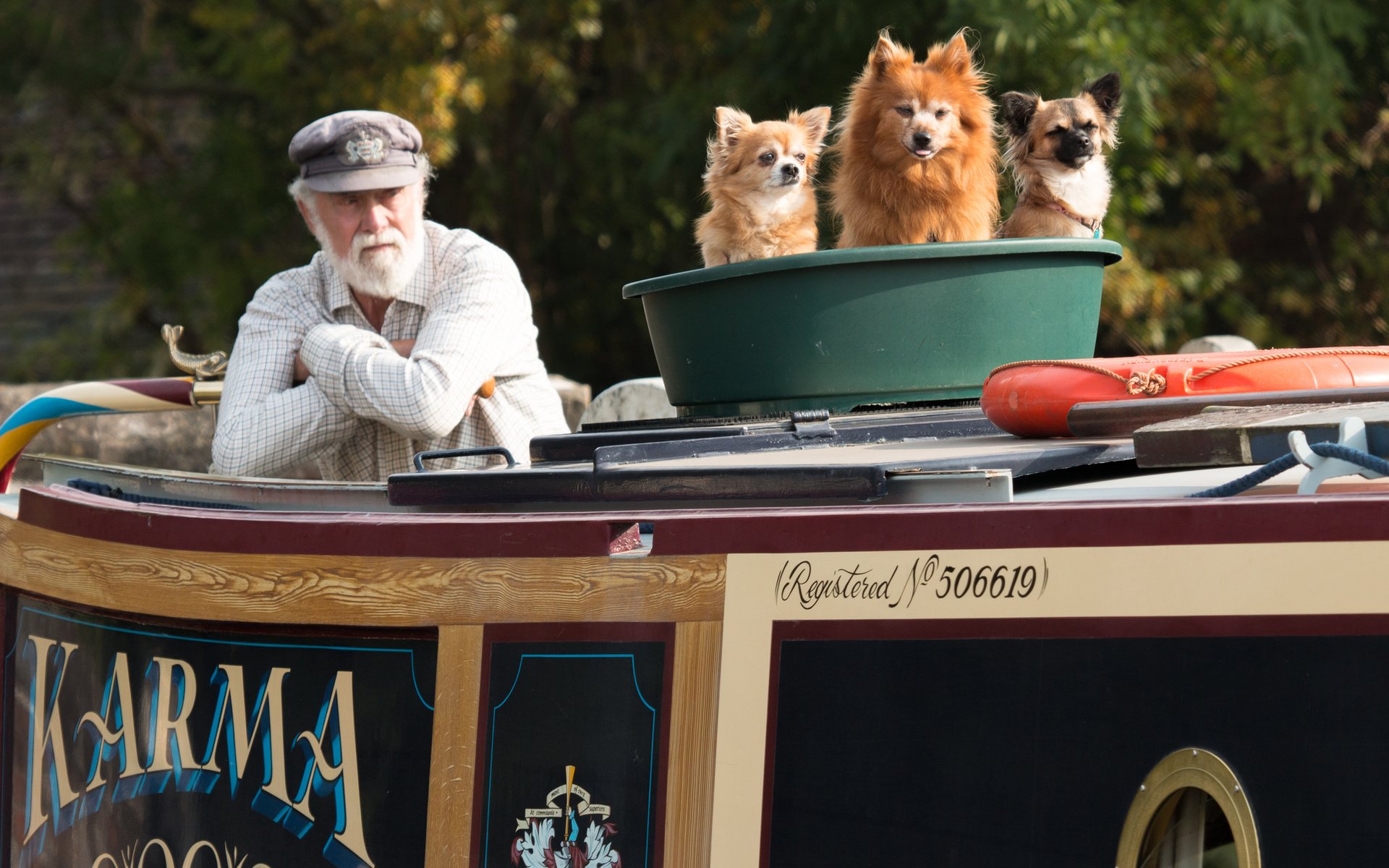 Обои собаки, старик, три храбреца в одном тазу, dogs, the old man, three brave in one basin разрешение 2048x1365 Загрузить