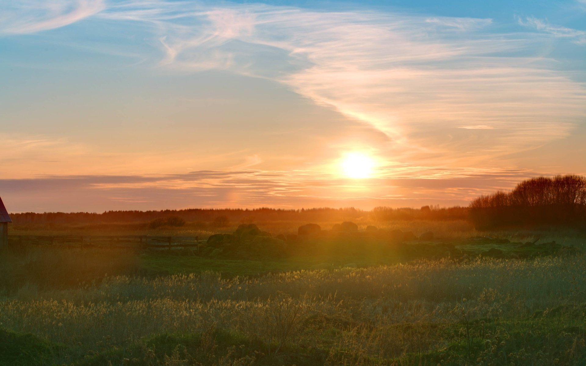 Обои трава, солнце, природа, утро, grass, the sun, nature, morning разрешение 3300x2186 Загрузить