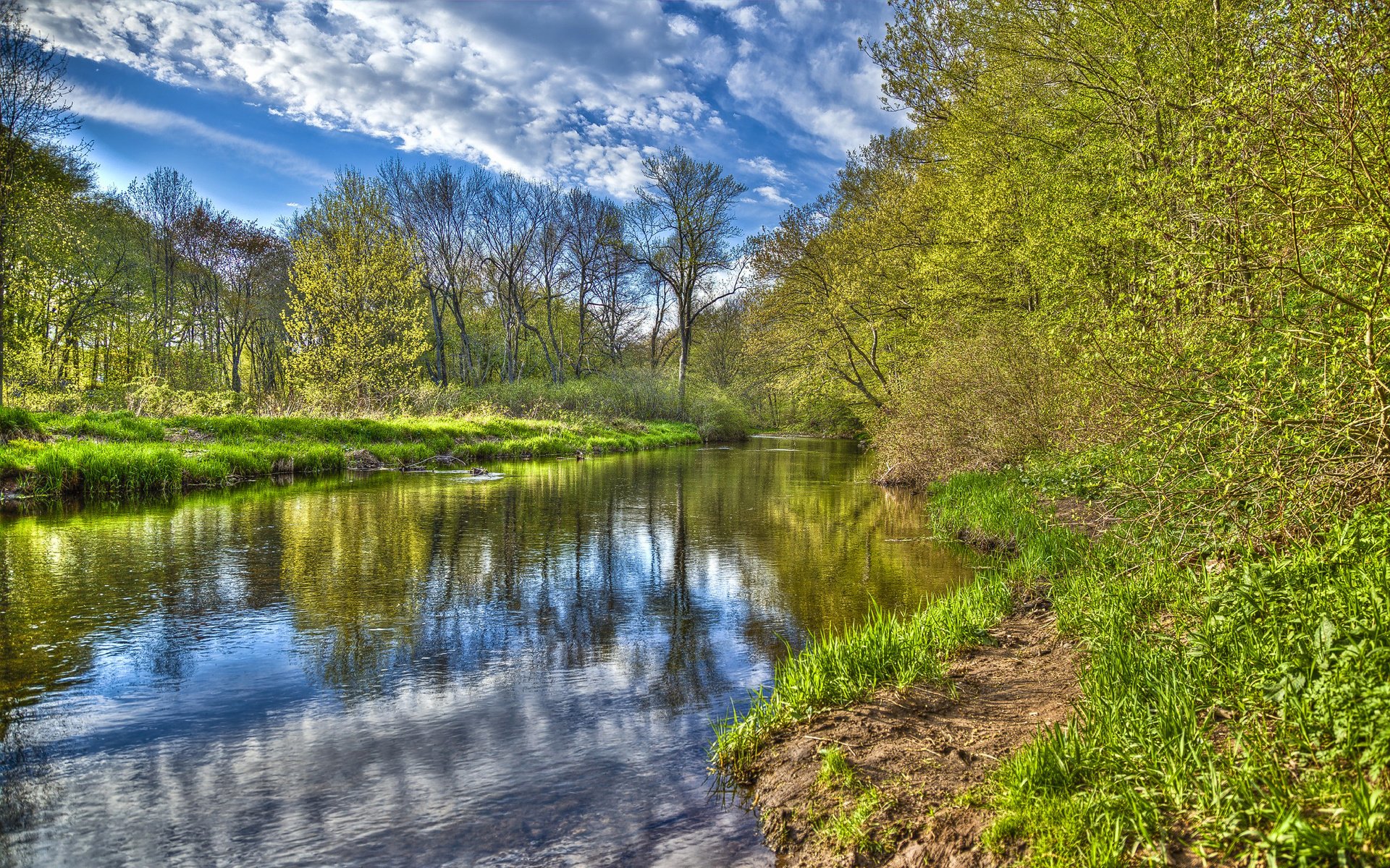 Обои небо, облака, река, лес, the sky, clouds, river, forest разрешение 2560x1600 Загрузить