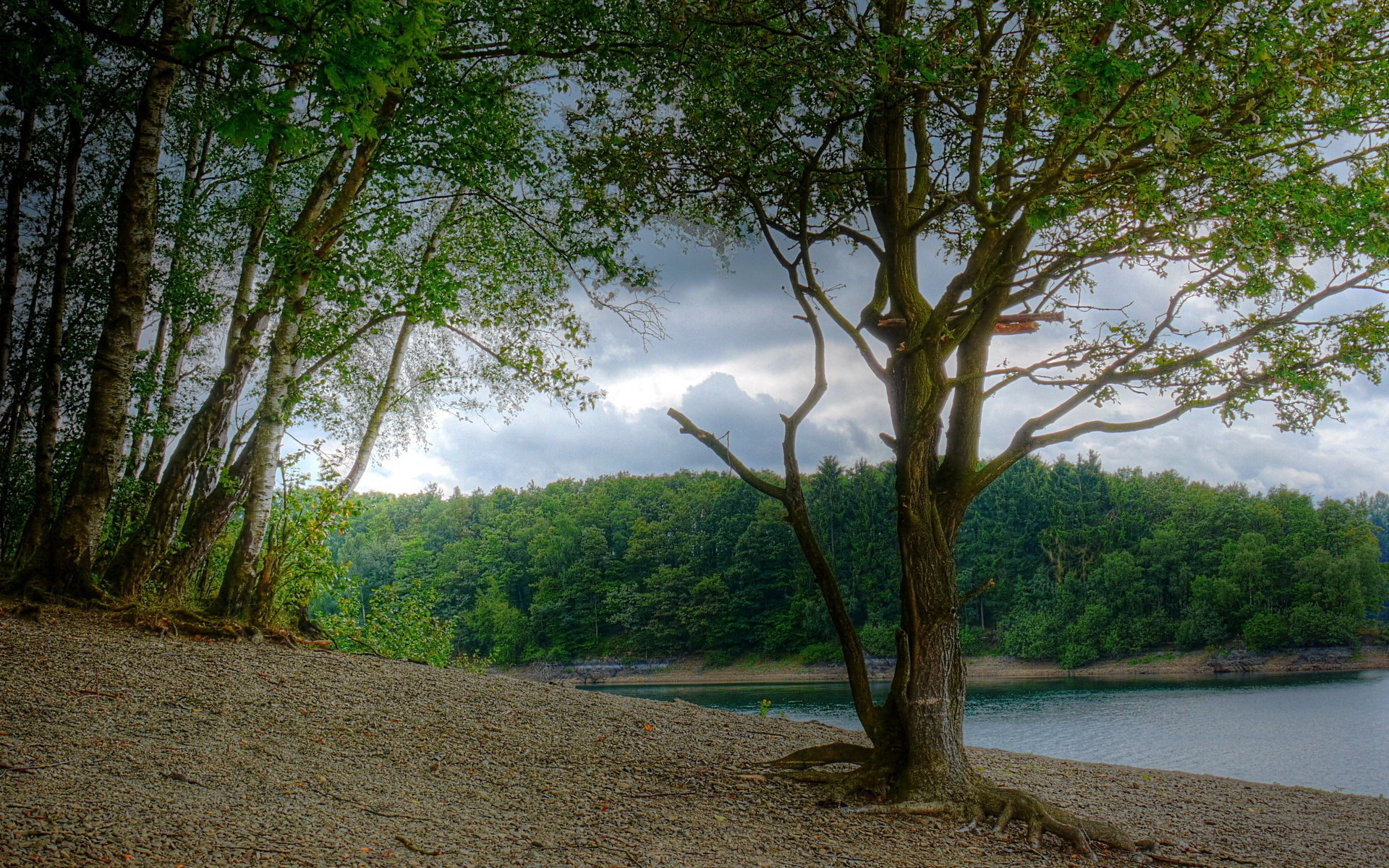 Обои река, березы, германия, северный рейн-вестфалия, river, birch, germany, north rhine-westphalia разрешение 2586x1720 Загрузить