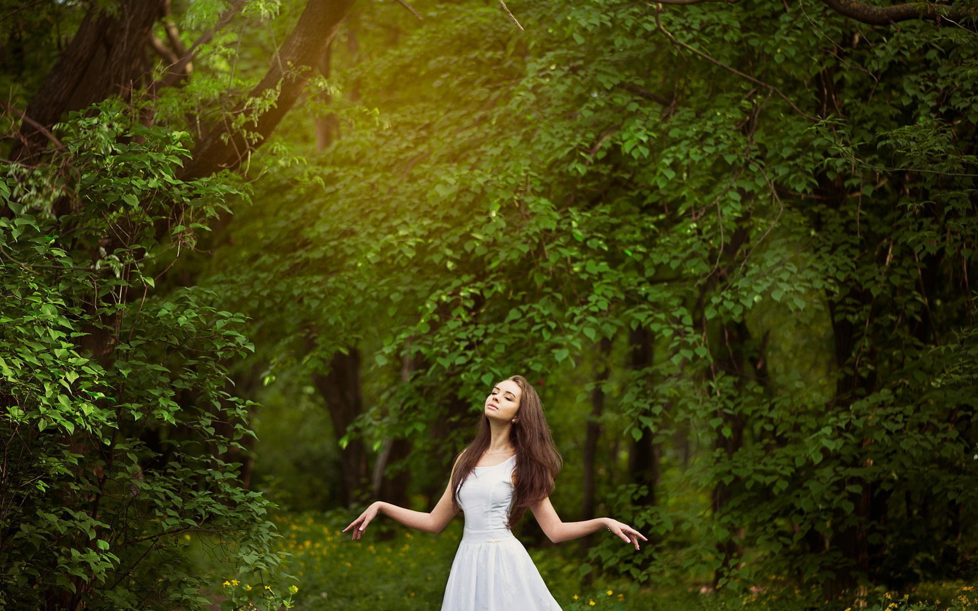 Обои деревья, лес, девушка, настроение, шатенка, trees, forest, girl, mood, brown hair разрешение 2048x1362 Загрузить