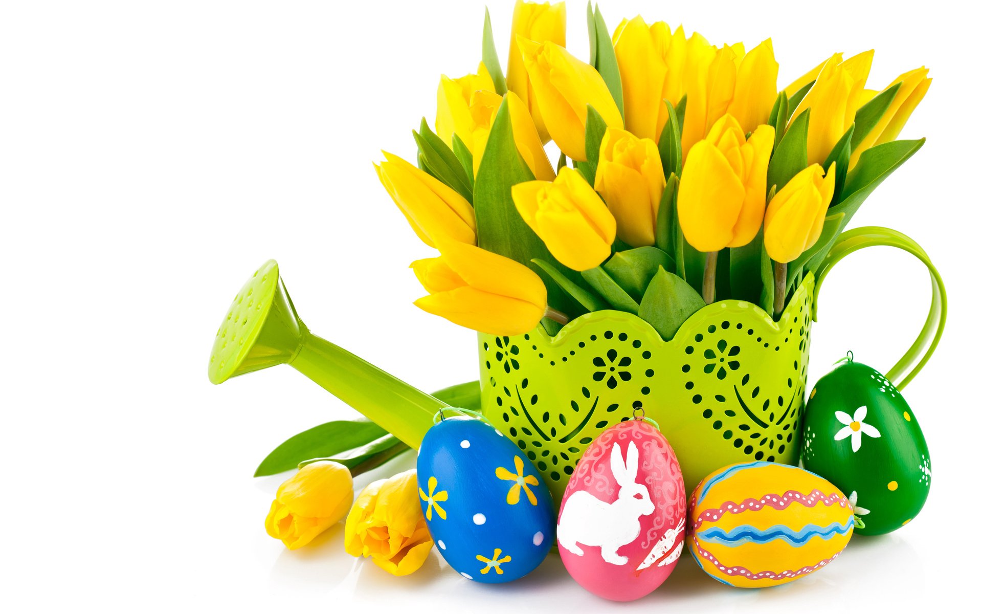 Обои тюльпаны, белый фон, пасха, яйца, праздник, лейка, tulips, white background, easter, eggs, holiday, lake разрешение 5402x3674 Загрузить