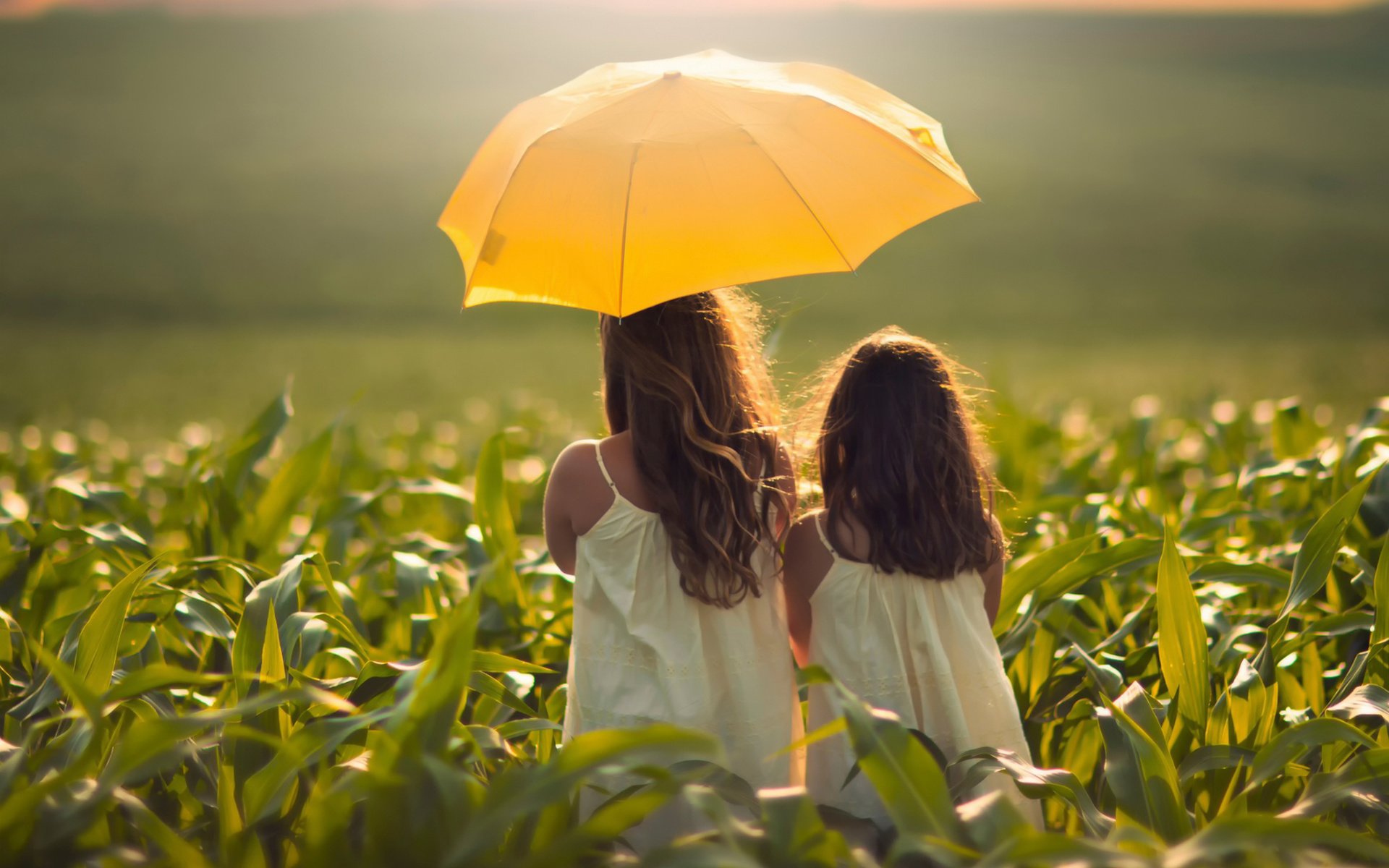 Обои поле, девочки, зонтик, field, girls, umbrella разрешение 2048x1494 Загрузить