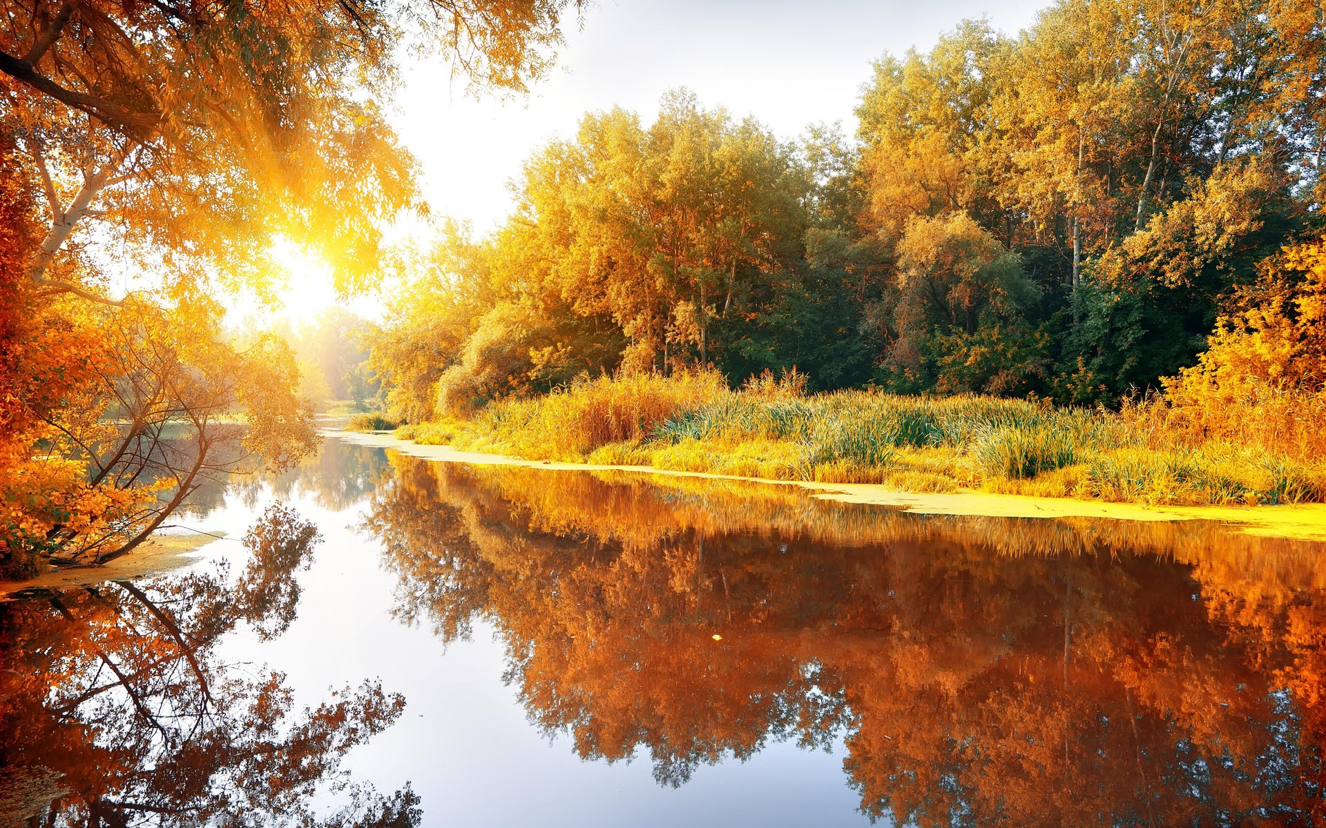 Обои деревья, река, природа, лес, отражение, осень, trees, river, nature, forest, reflection, autumn разрешение 6001x3888 Загрузить