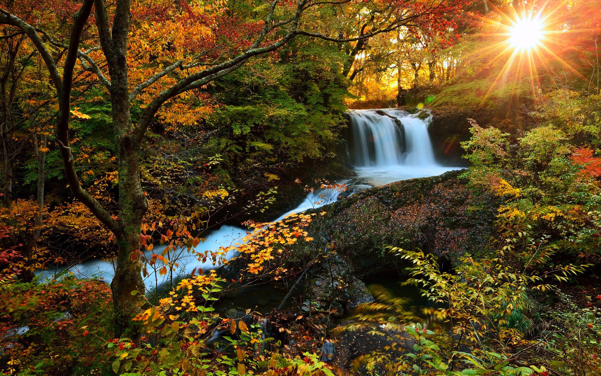 Обои деревья, река, солнце, лес, водопад, осень, trees, river, the sun, forest, waterfall, autumn разрешение 3000x1997 Загрузить