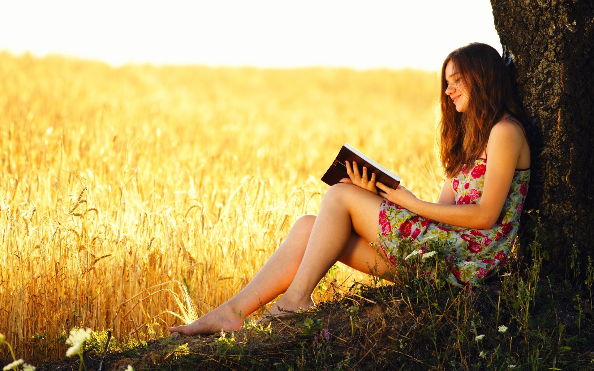 Обои дерево, девушка, поле, пшеница, книга, tree, girl, field, wheat, book разрешение 5616x3744 Загрузить