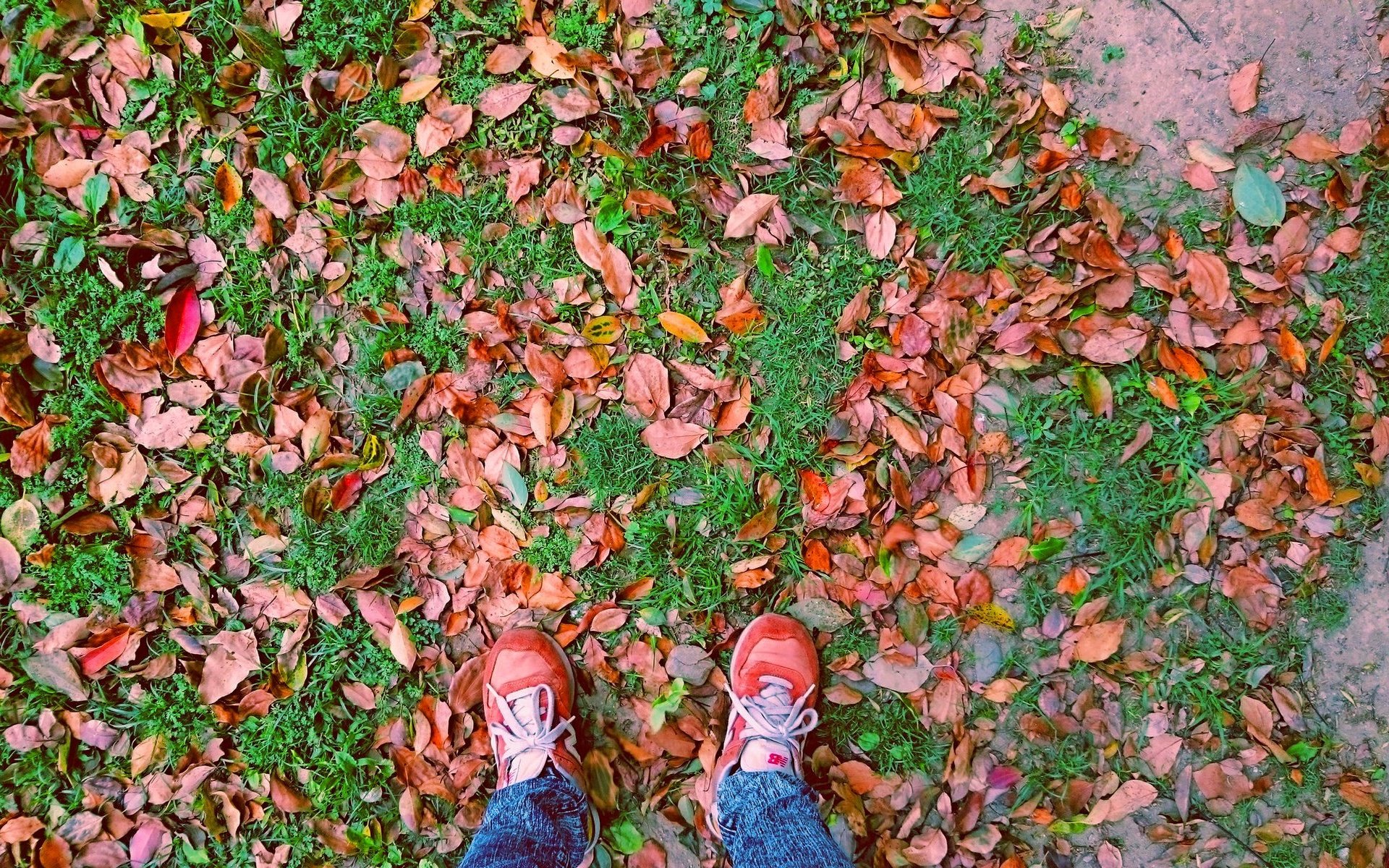 Обои листья, осень, ноги, листик, листопад, leaves, autumn, feet, leaf, falling leaves разрешение 2133x1200 Загрузить