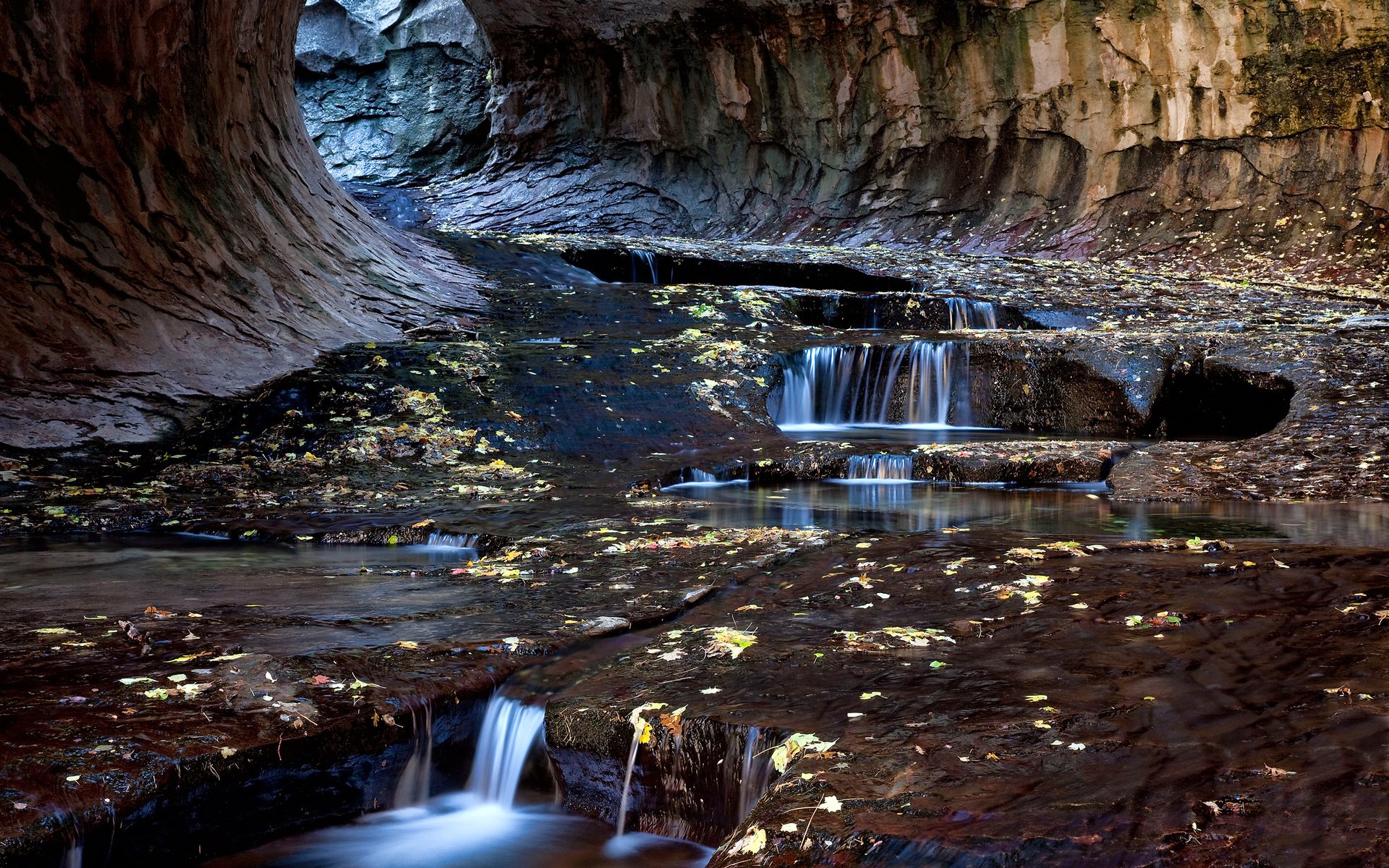 Обои скалы, листья, ручей, сша, юта, тоннель, zion national park, rocks, leaves, stream, usa, utah, the tunnel разрешение 2560x1707 Загрузить