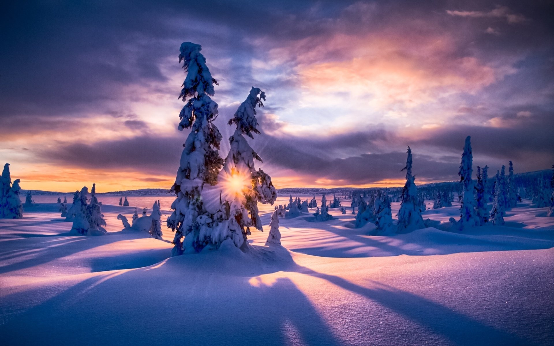 Обои облака, winter paradis, деревья, солнце, снег, природа, зима, пейзаж, солнечный свет, clouds, trees, the sun, snow, nature, winter, landscape, sunlight разрешение 2048x1363 Загрузить