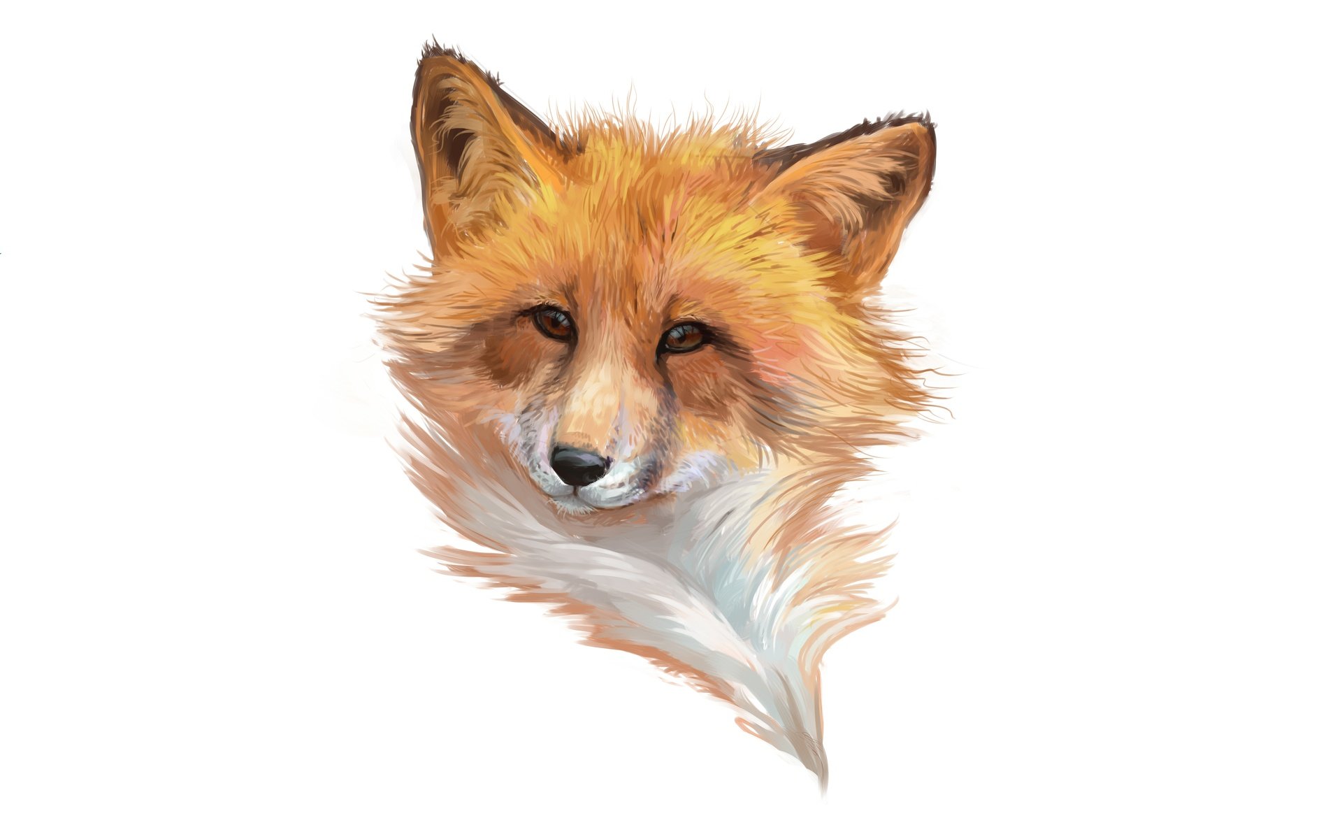 Обои морда, арт, лиса, минимализм, лисица, белый фон, лис, face, art, fox, minimalism, white background разрешение 9600x6000 Загрузить