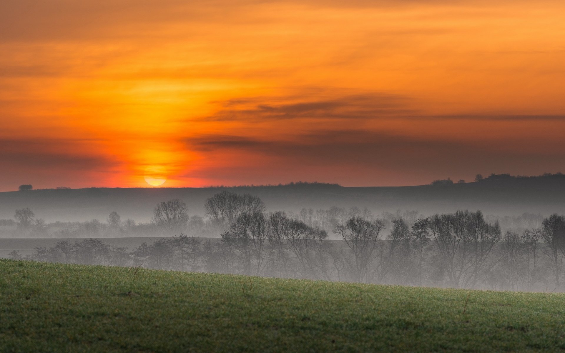 Обои небо, деревья, пейзаж, утро, туман, поле, the sky, trees, landscape, morning, fog, field разрешение 2776x1440 Загрузить