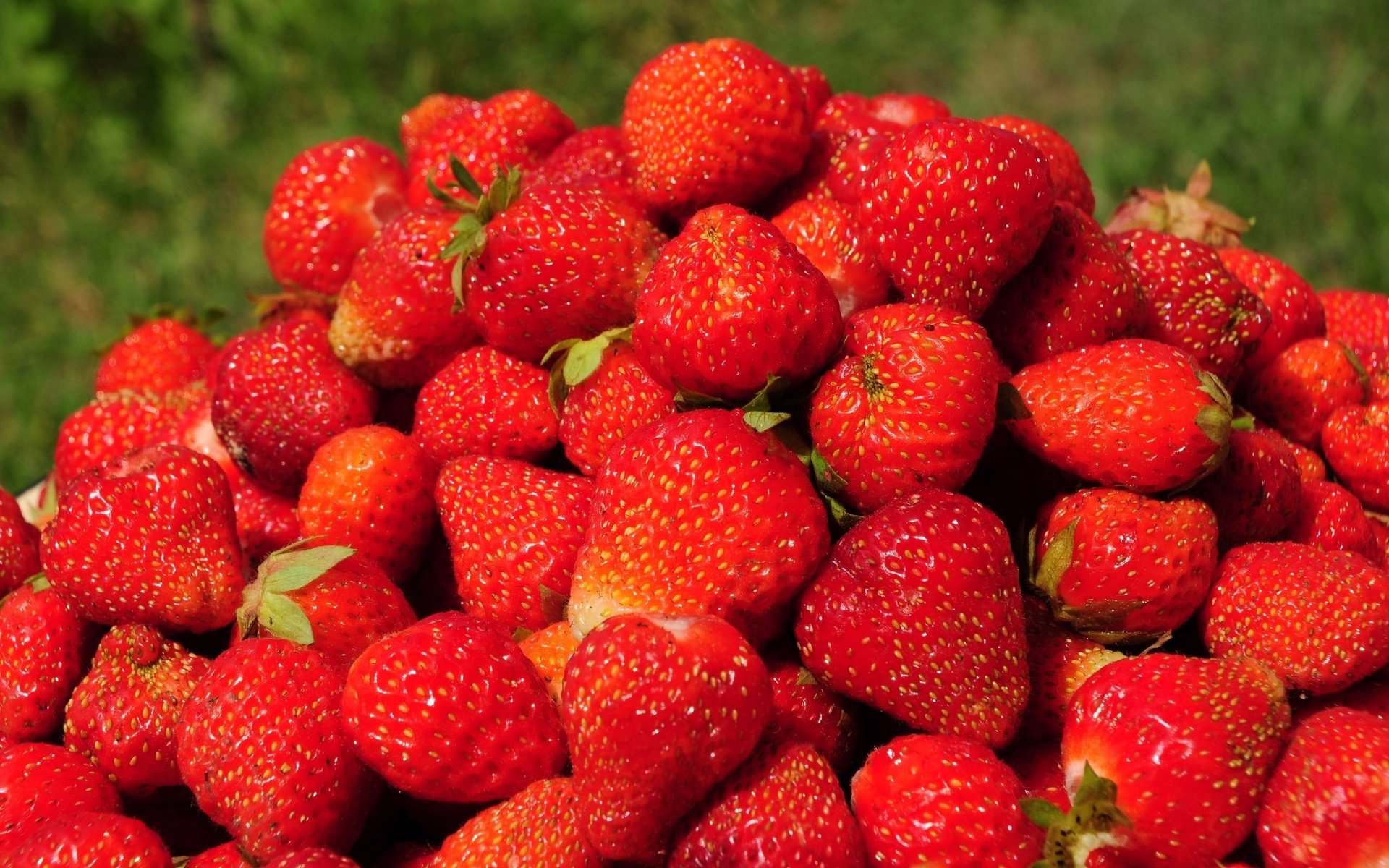 Обои лето, клубника, красные, ягоды, спелые, summer, strawberry, red, berries, ripe разрешение 2560x1600 Загрузить