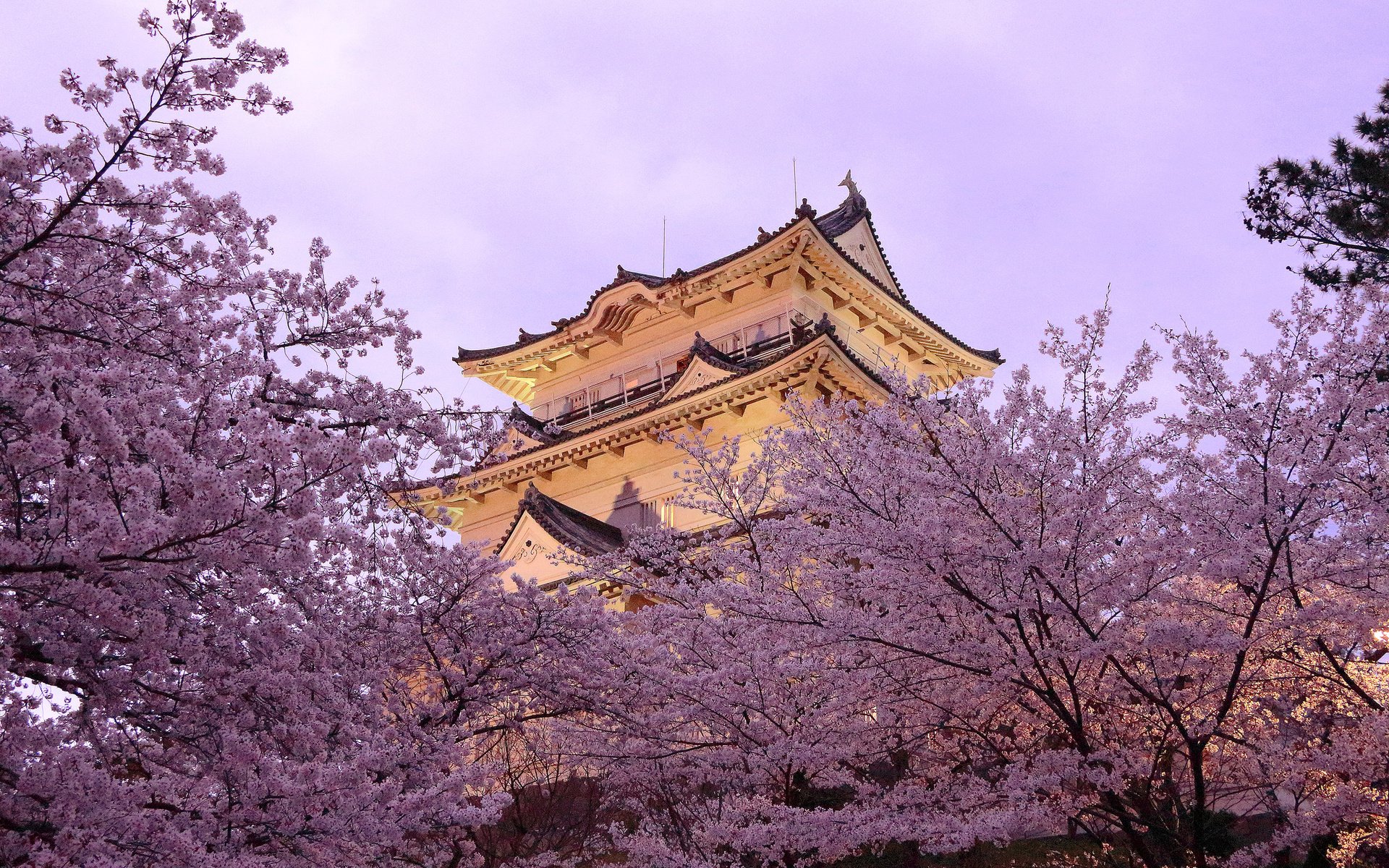 Обои город, пагода, япония, весна, сакура, the city, pagoda, japan, spring, sakura разрешение 2048x1365 Загрузить