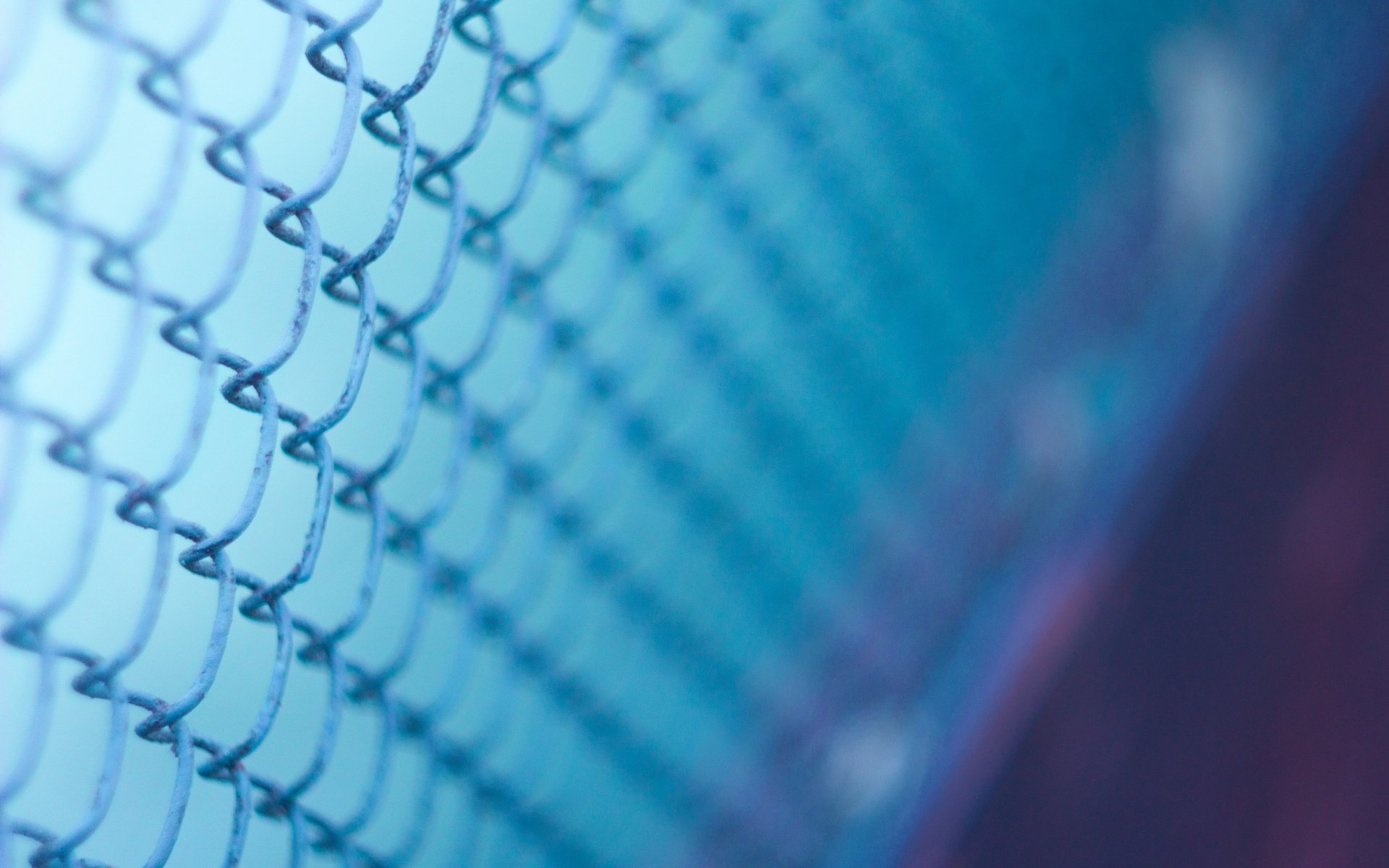 Обои макро, фон, синий, забор, размытость, сетка, рабица, macro, background, blue, the fence, blur, mesh, netting разрешение 1920x1280 Загрузить