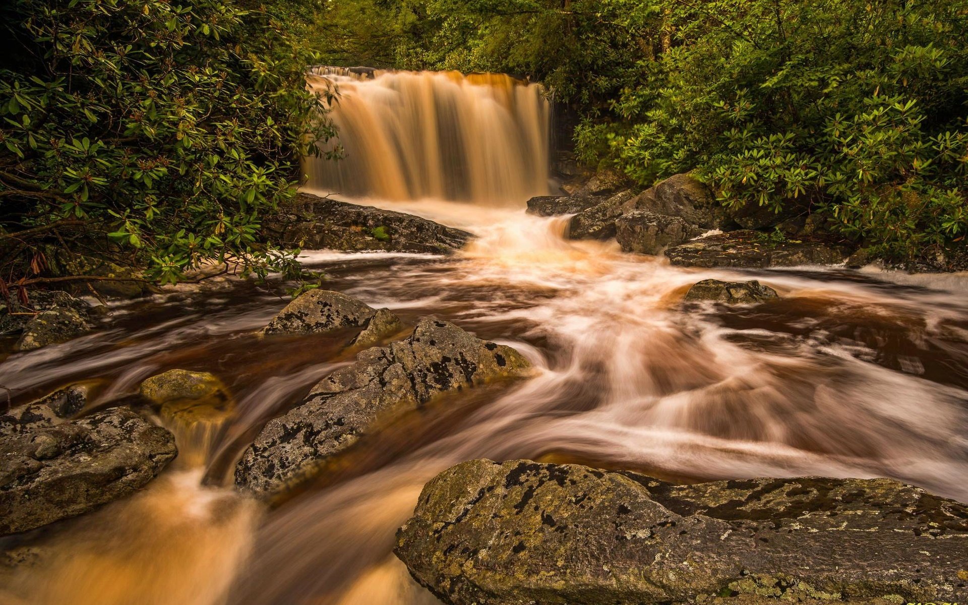 Обои деревья, река, природа, камни, скала, водопад, поток, trees, river, nature, stones, rock, waterfall, stream разрешение 2048x1365 Загрузить