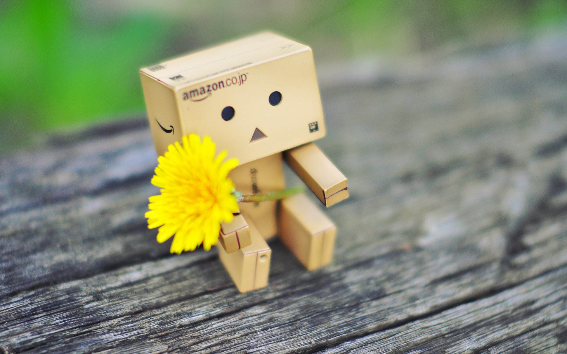 Обои одуванчик, человечек, коробка, данбо, картонный робот, dandelion, man, box, danbo, cardboard robot разрешение 3840x2400 Загрузить