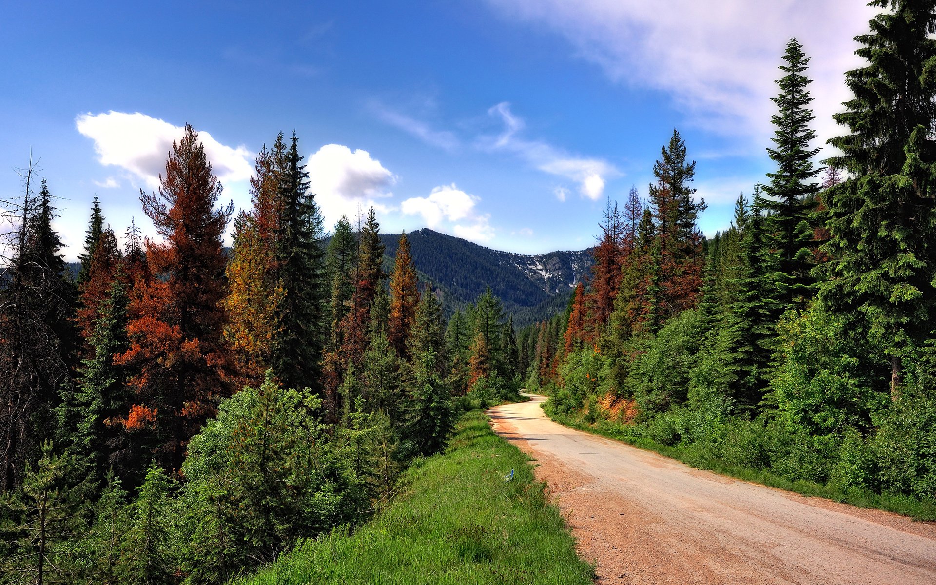 Обои дорога, деревья, горы, лес, road, trees, mountains, forest разрешение 3000x1825 Загрузить