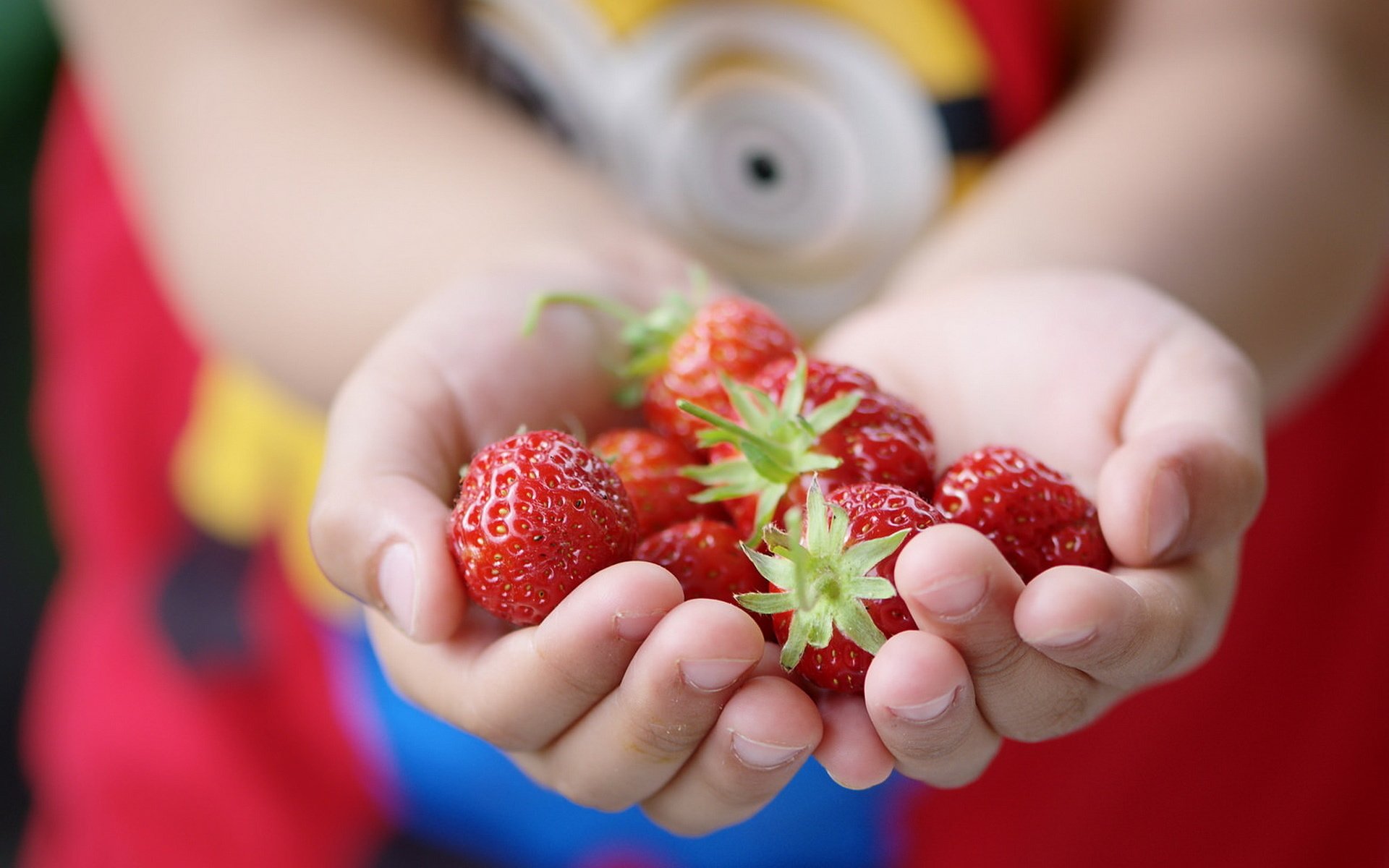 Обои лето, ягода, клубника, руки, ладони, summer, berry, strawberry, hands, palm разрешение 1920x1273 Загрузить