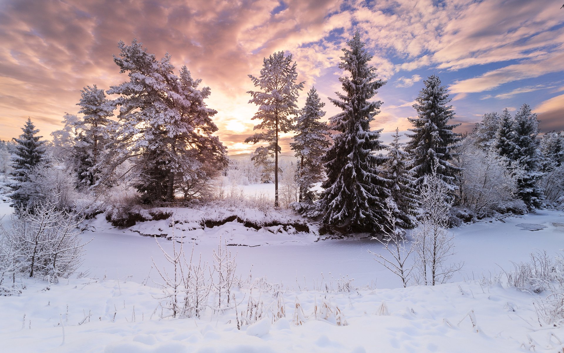 Обои деревья, снег, природа, лес, зима, trees, snow, nature, forest, winter разрешение 3840x2400 Загрузить