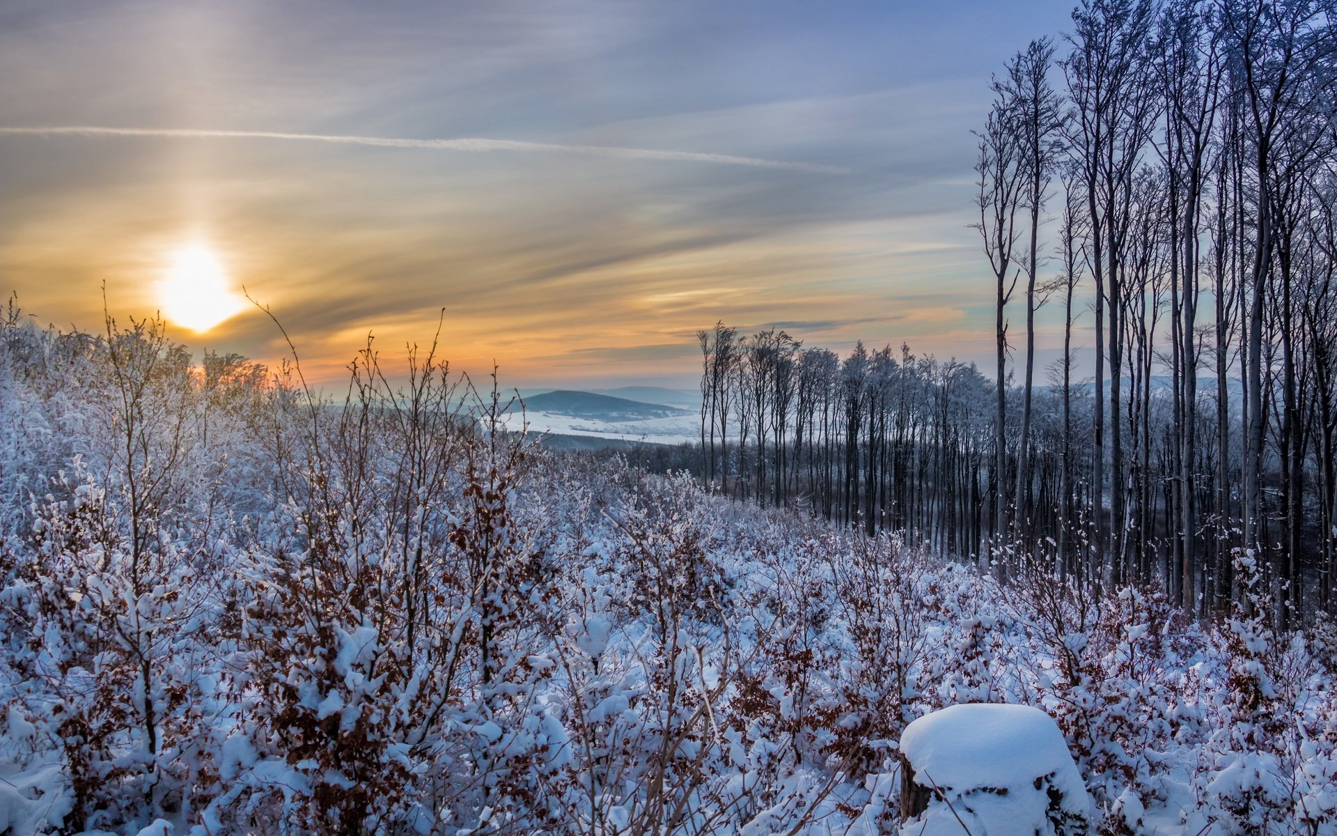 Обои небо, деревья, солнце, снег, природа, закат, зима, the sky, trees, the sun, snow, nature, sunset, winter разрешение 2880x1920 Загрузить