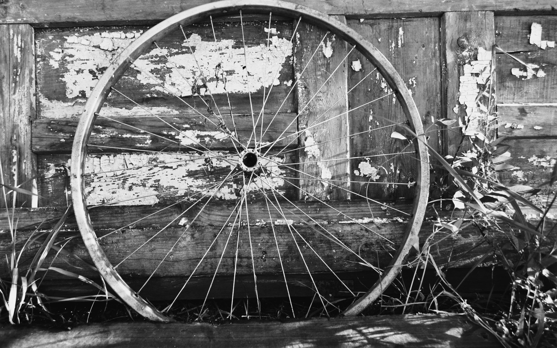 Обои колесо, белая, метал, велосипед, дерева, блака, bicycle wheel, wheel, white, metal, bike, wood, black разрешение 2000x1333 Загрузить