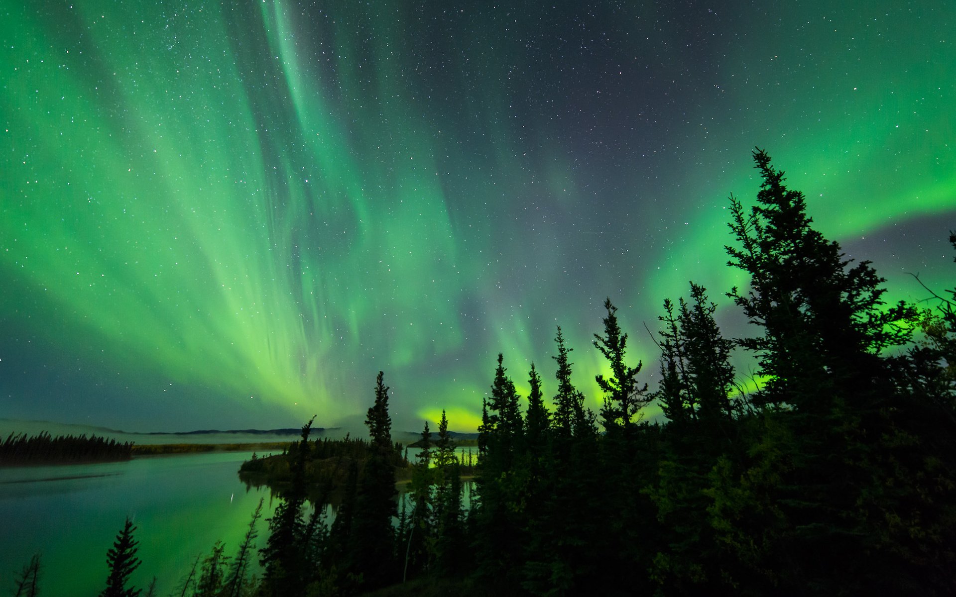 Обои небо, деревья, озеро, северное сияние, силуэты, aurora borealis, северные огни, the sky, trees, lake, northern lights, silhouettes разрешение 2048x1367 Загрузить