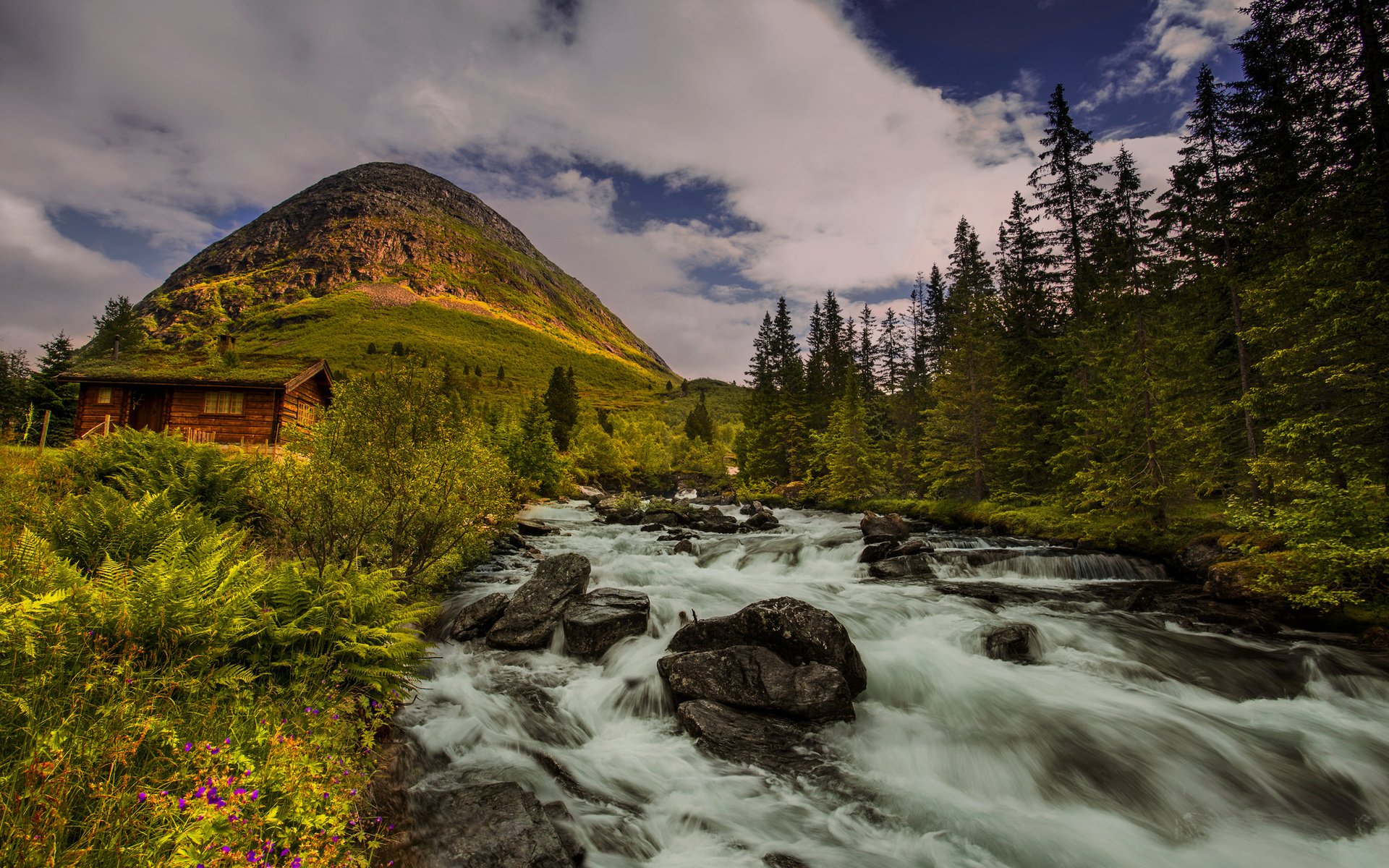 Обои деревья, река, холм, норвегия, хижина, норвегии, trees, river, hill, norway, hut разрешение 2048x1367 Загрузить