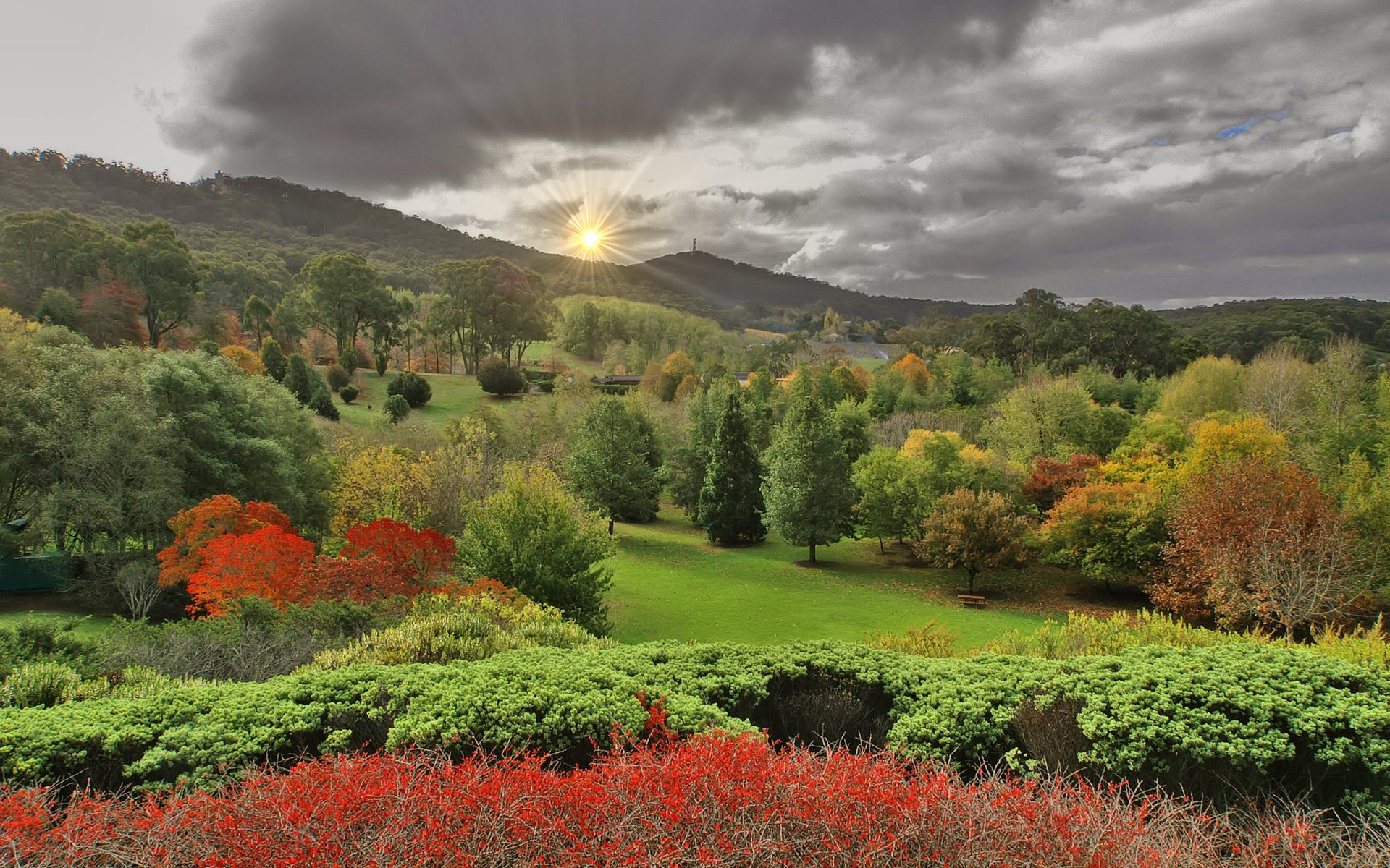Обои пейзаж, осень, lofty botanic gardens, аделаида-хиллс, южная австралия, landscape, autumn, adelaide hills, south australia разрешение 2256x1496 Загрузить
