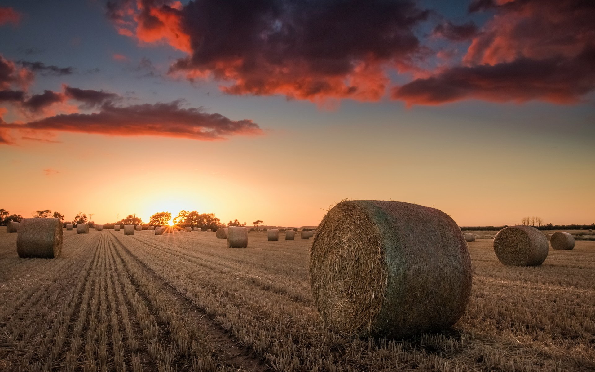 Обои небо, природа, закат, поле, сено, тюки, рулоны, the sky, nature, sunset, field, hay, bales, rolls разрешение 2560x1690 Загрузить