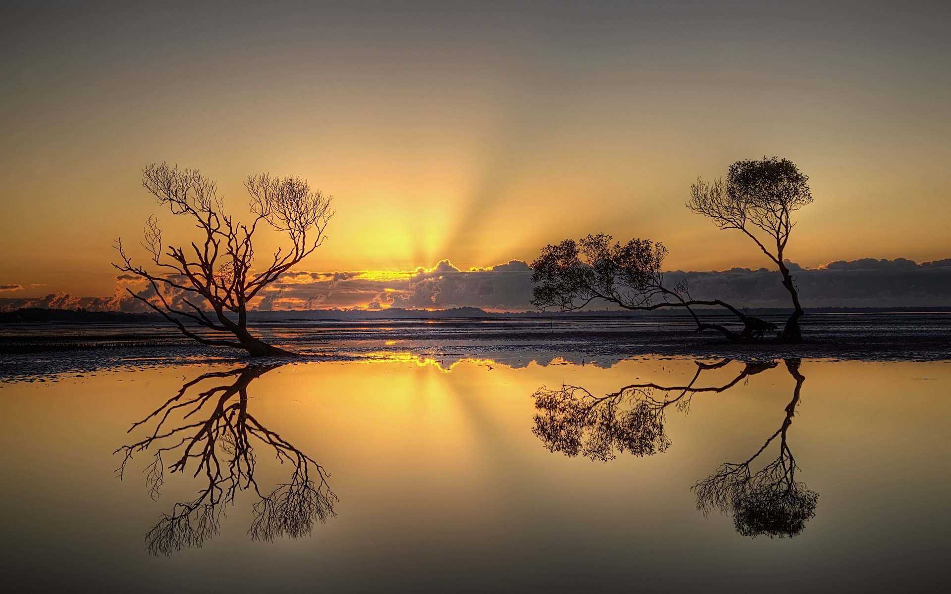 Обои деревья, вечер, озеро, природа, закат, отражение, trees, the evening, lake, nature, sunset, reflection разрешение 5592x3700 Загрузить