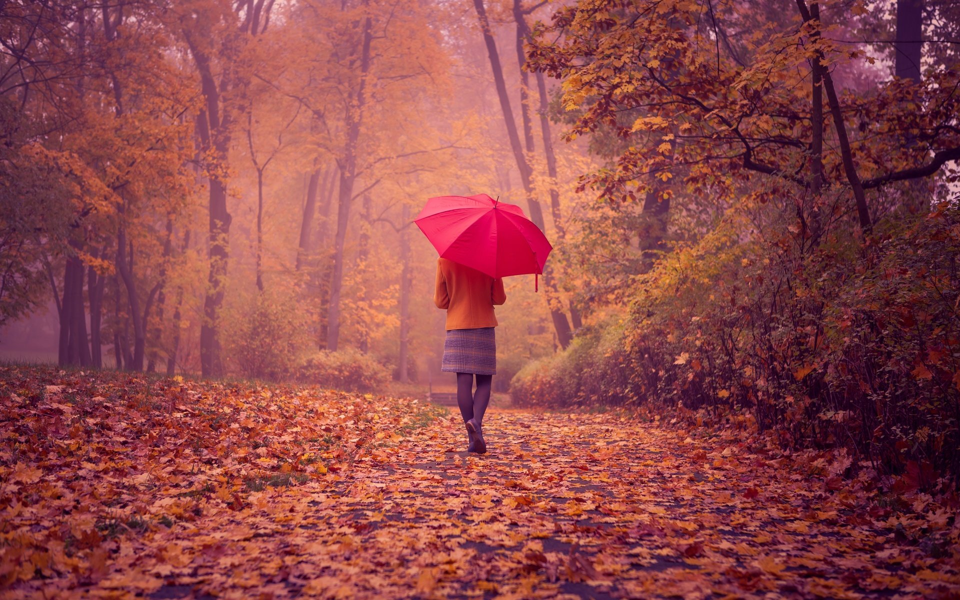 Обои дорога, девушка, пейзаж, листва, осень, спина, красный зонтик, road, girl, landscape, foliage, autumn, back, red umbrella разрешение 7000x4667 Загрузить