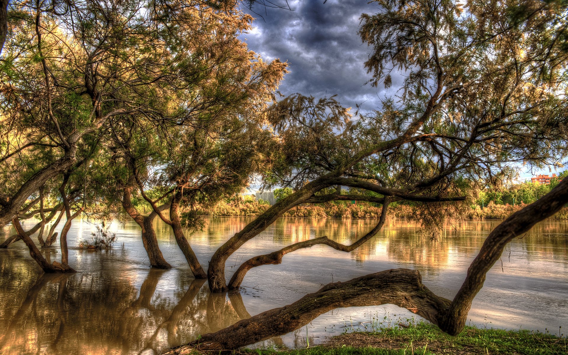 Обои деревья, река, осень, испания, hdr, в воде, aragon, сарагоса, trees, river, autumn, spain, in the water, zaragoza разрешение 2048x1365 Загрузить