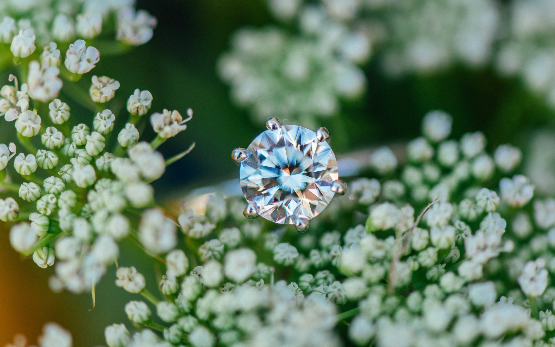 Обои цветы, камень, кольцо, обручальное, flowers, stone, ring, wedding разрешение 6016x4016 Загрузить