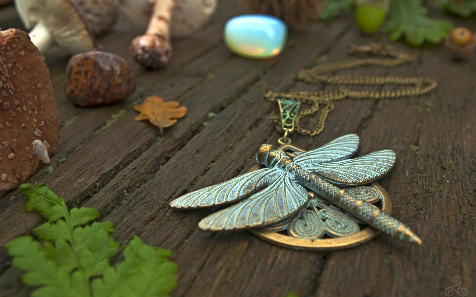 Обои стрекоза, кулон, украшение, dragonfly, pendant, decoration разрешение 2048x1371 Загрузить