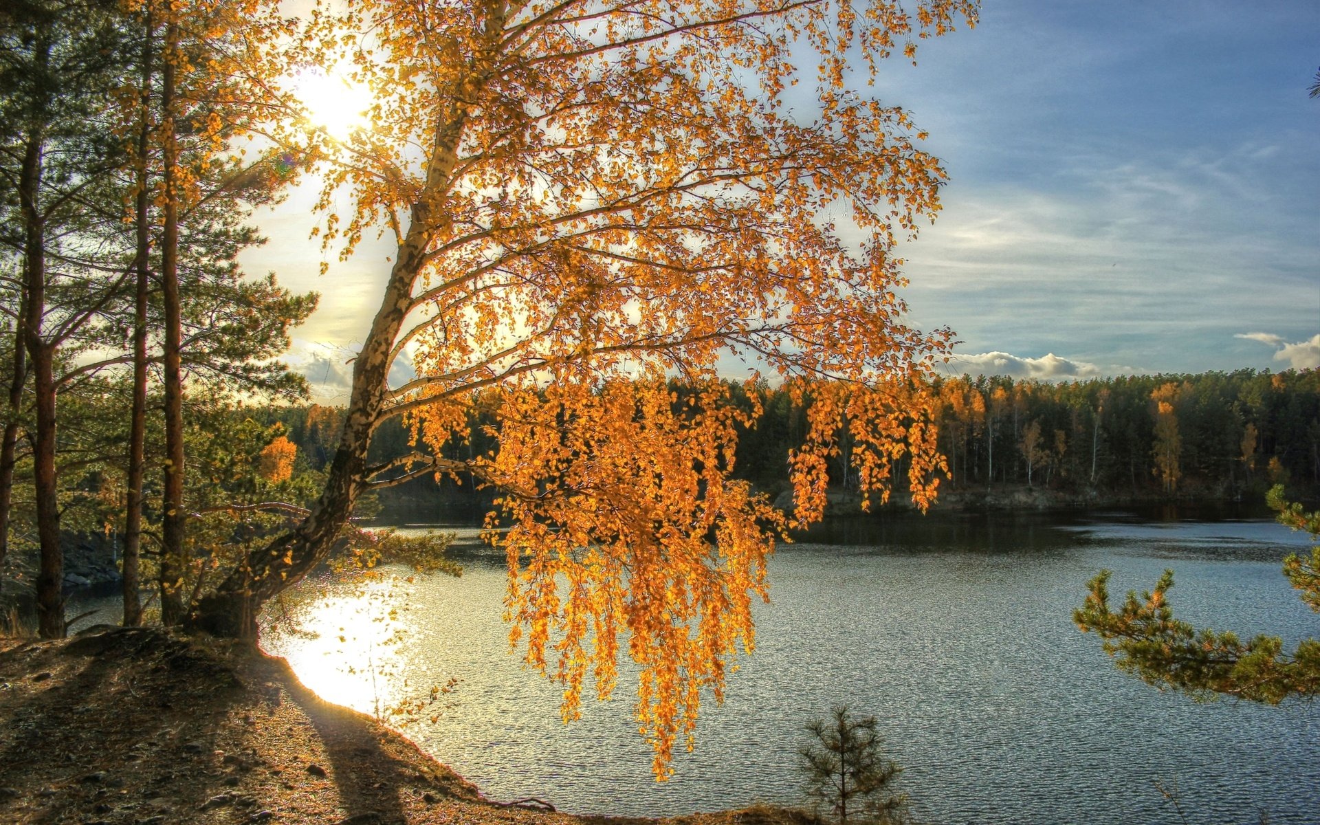 Обои свет, река, солнце, осень, береза, light, river, the sun, autumn, birch разрешение 2200x1450 Загрузить