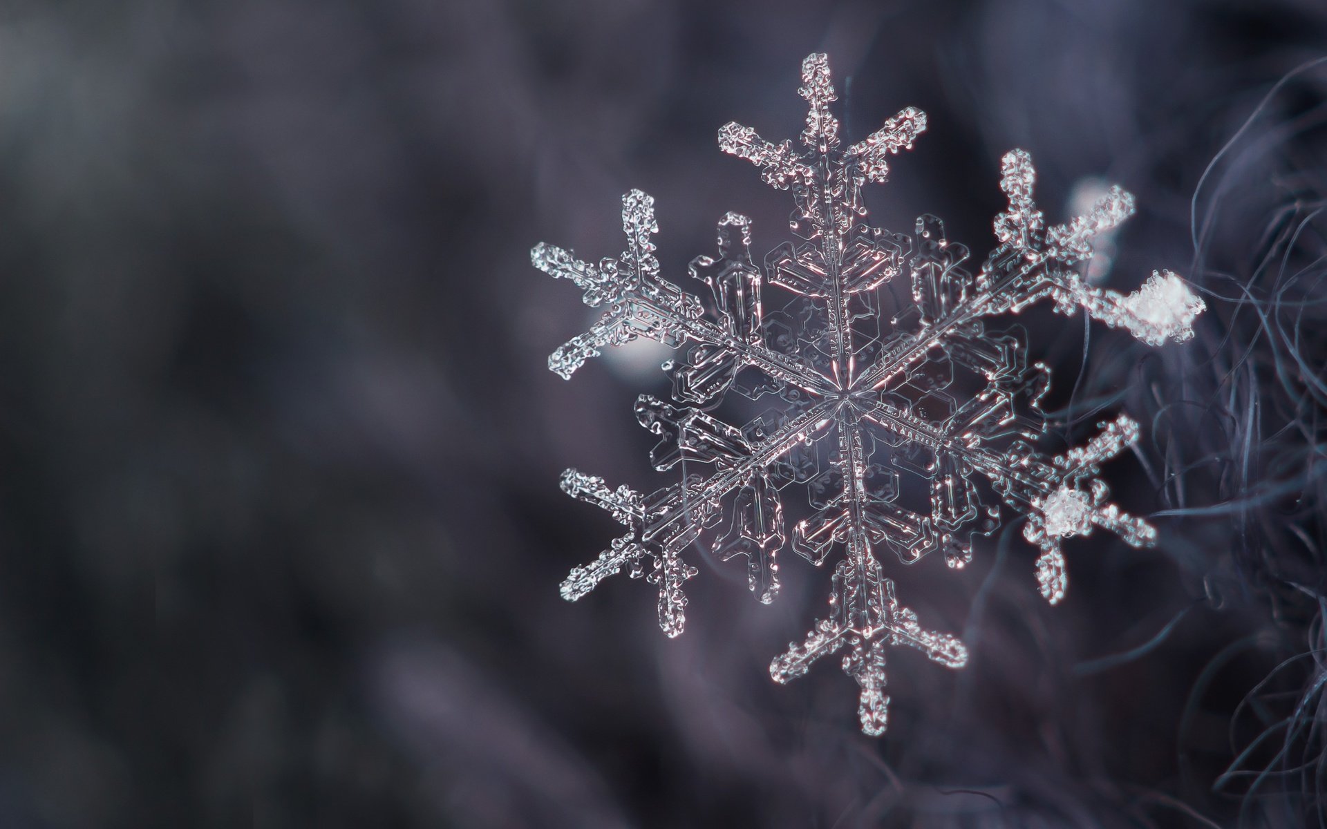 Обои снег, снежинка, кристалл, snow, snowflake, crystal разрешение 2400x1600 Загрузить