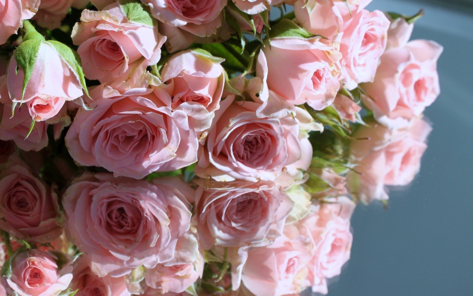 Обои отражение, розы, розовые, reflection, roses, pink разрешение 2000x1331 Загрузить