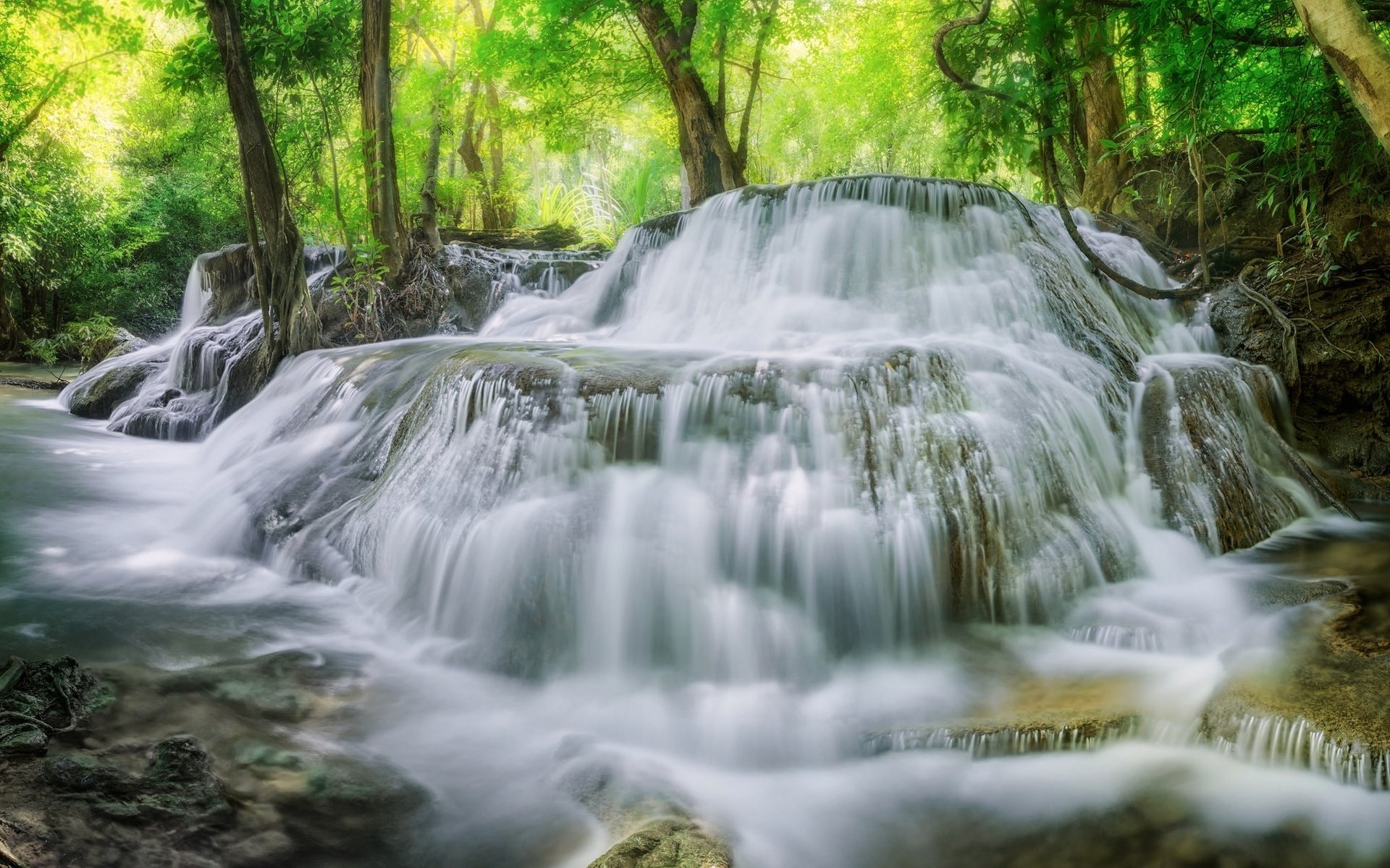 Обои деревья, вода, лес, водопад, поток, trees, water, forest, waterfall, stream разрешение 2048x1327 Загрузить